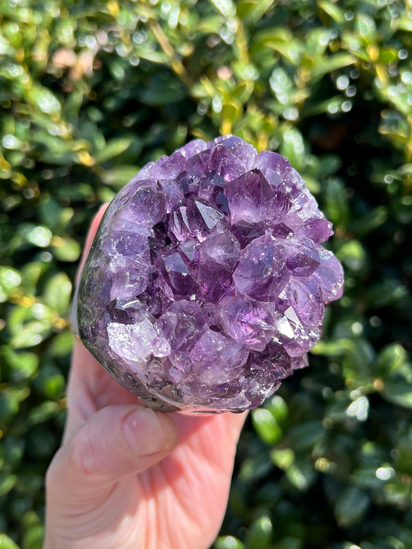 AAA Amethyst Pines