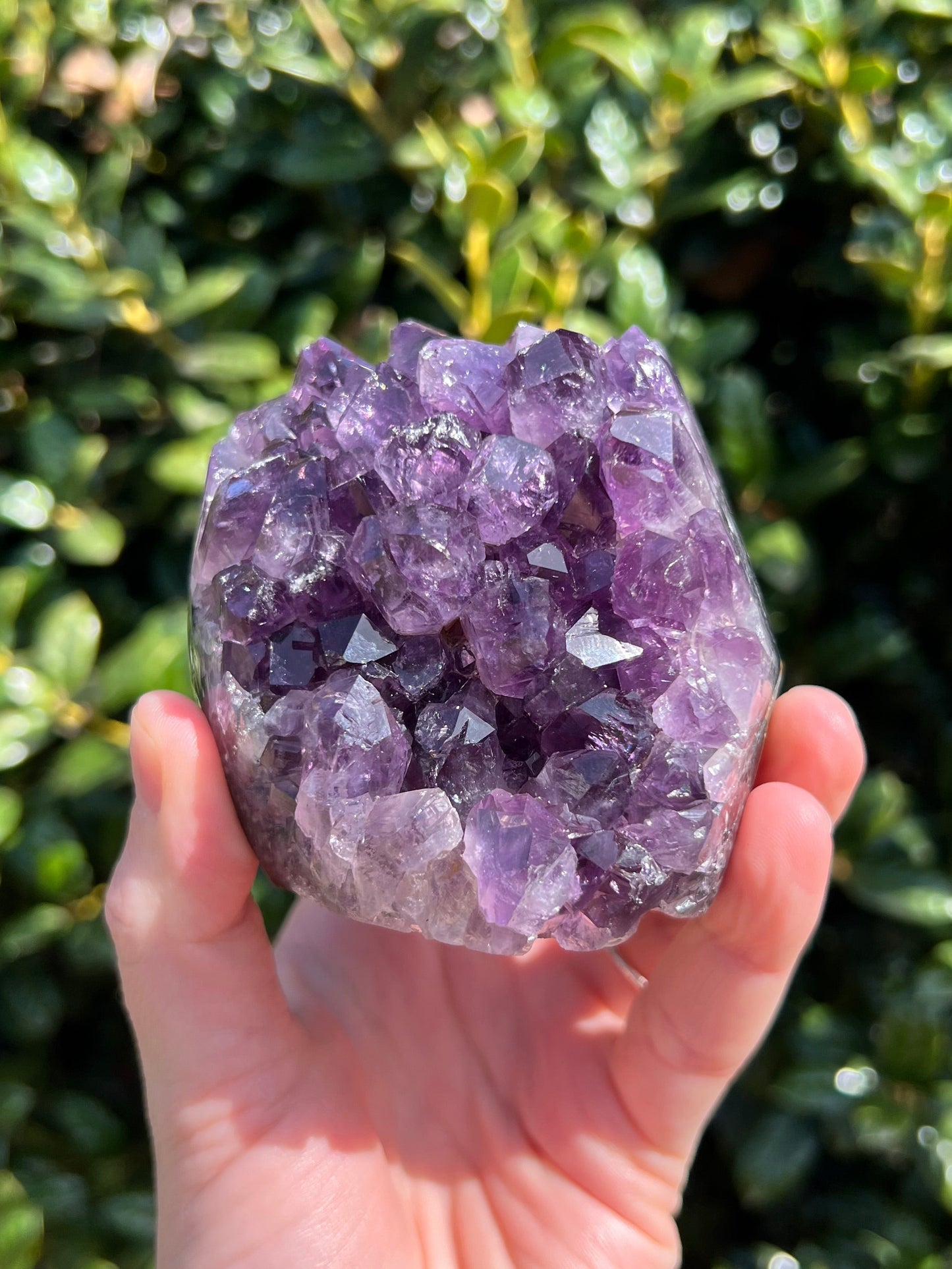 AAA Amethyst Pines