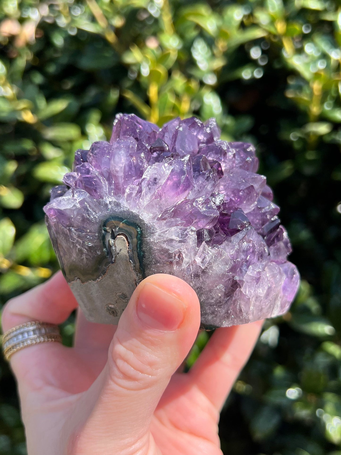 AAA Amethyst Pines