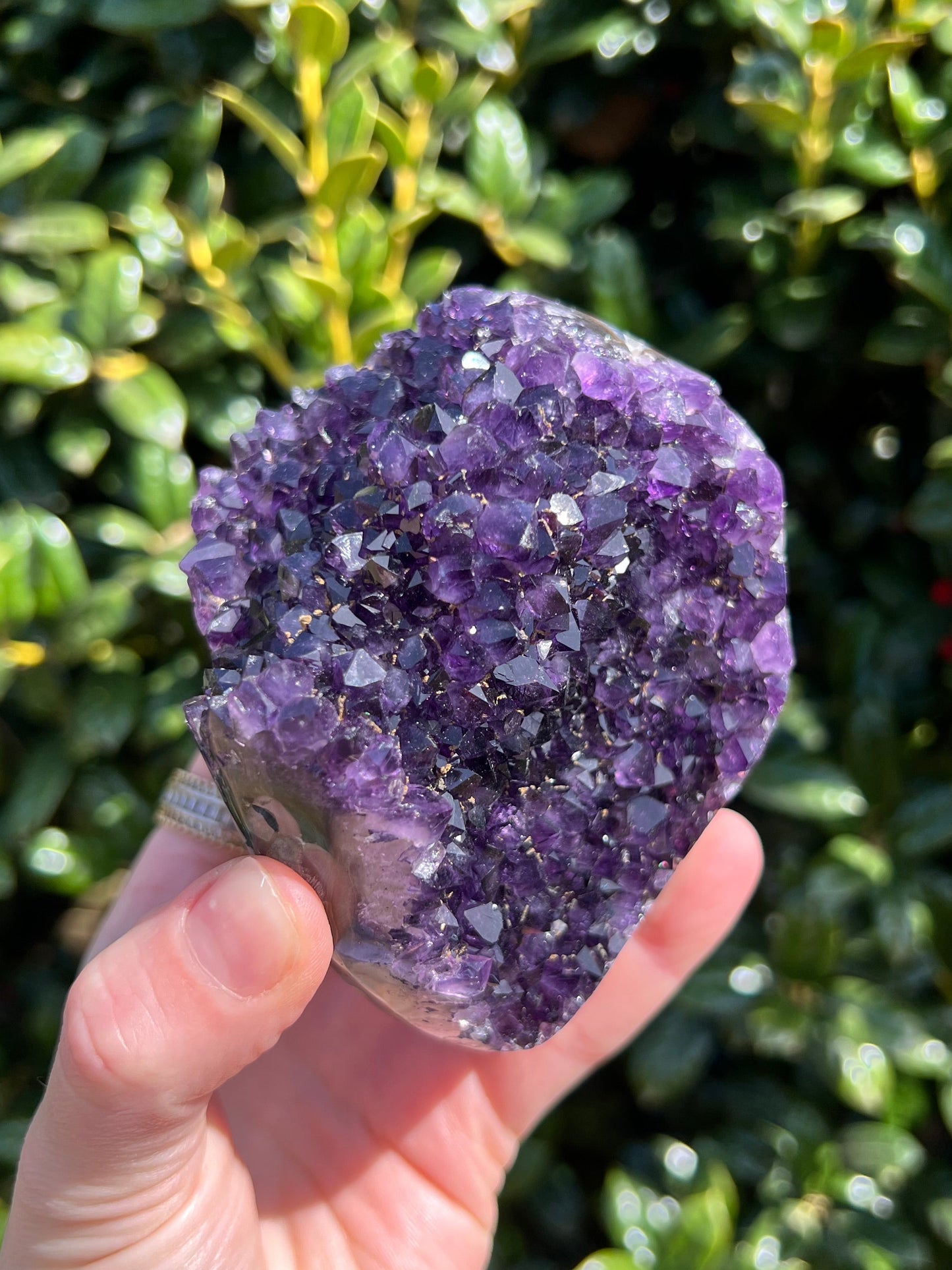AAA Amethyst Pines