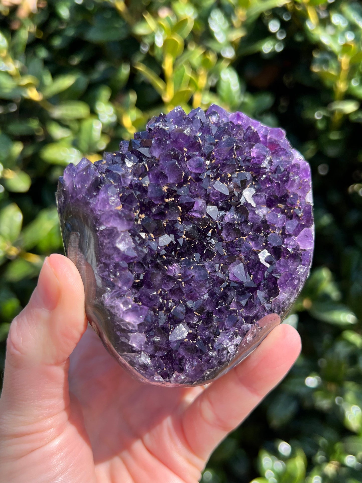 AAA Amethyst Pines