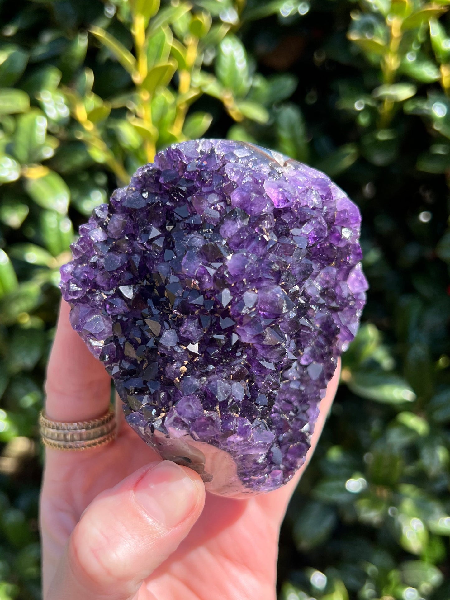 AAA Amethyst Pines