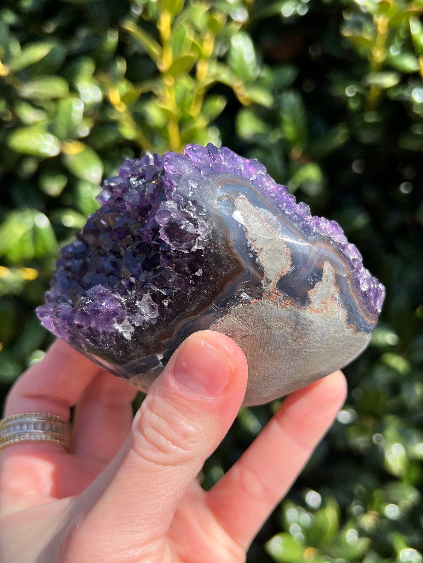AAA Amethyst Pines
