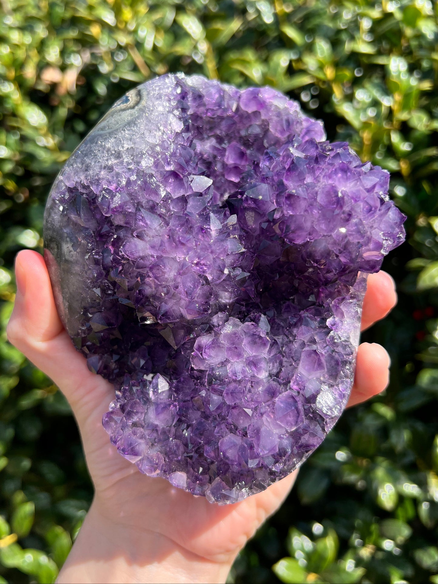 AAA Amethyst Pines