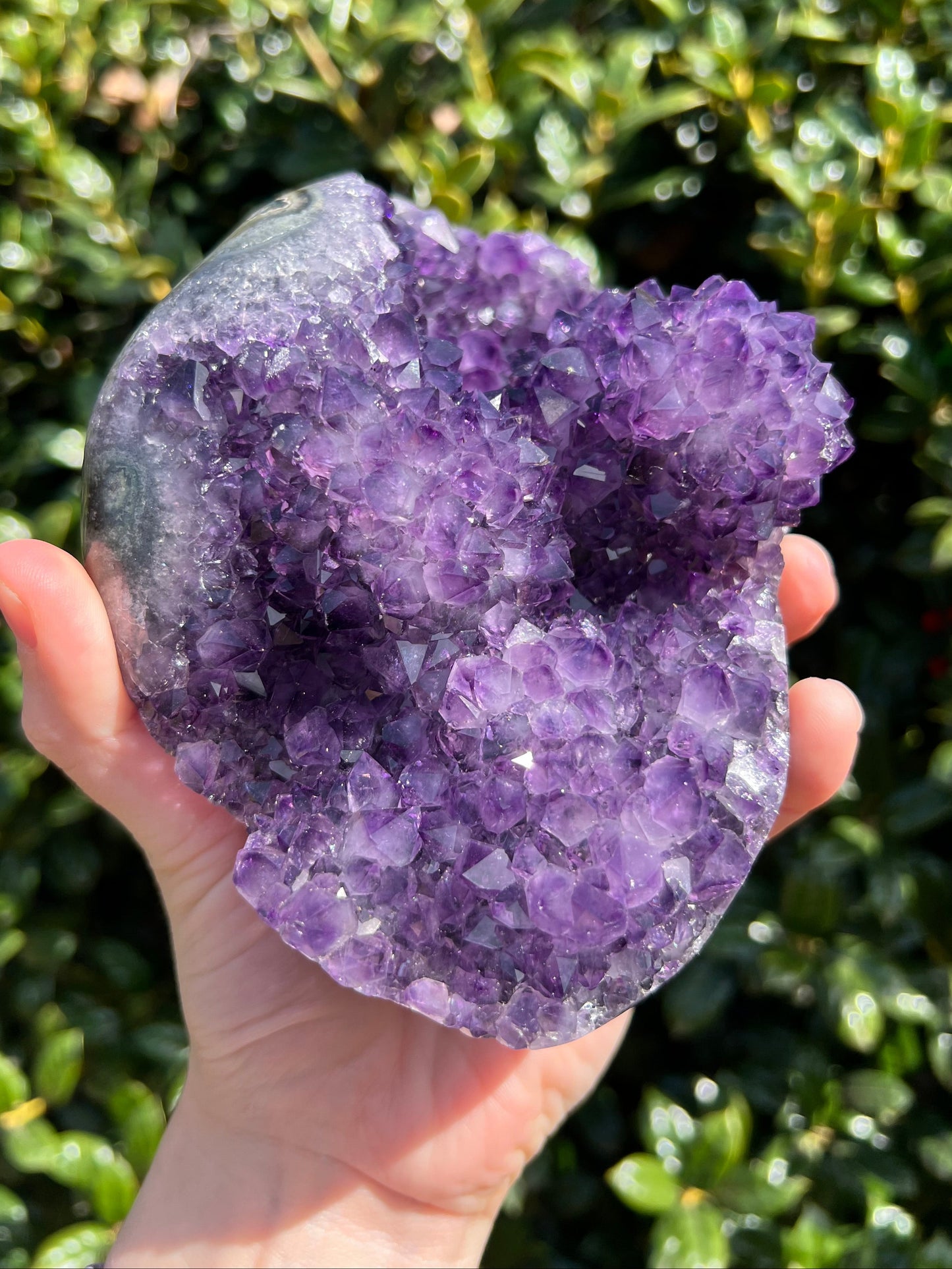 AAA Amethyst Pines