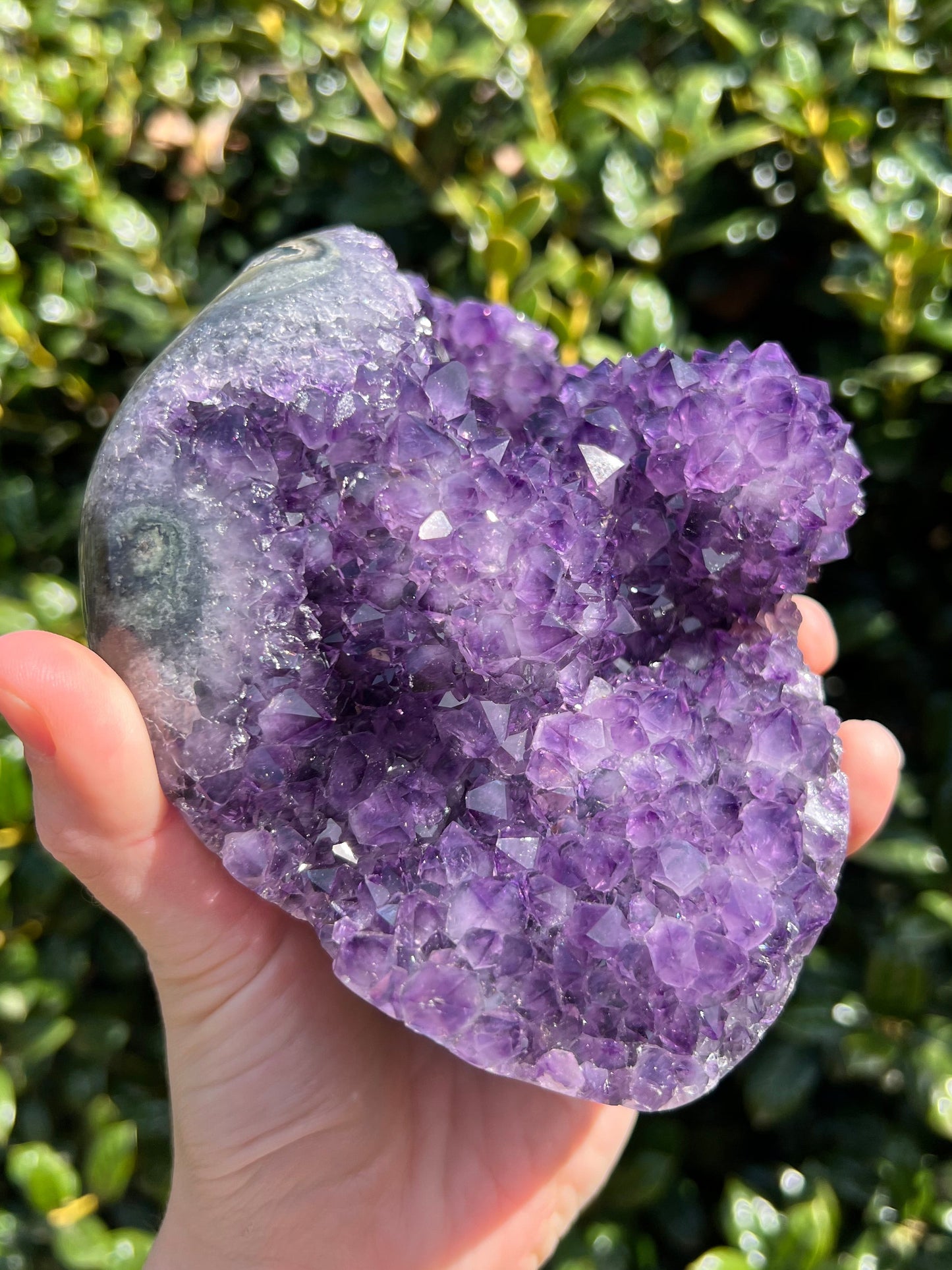 AAA Amethyst Pines