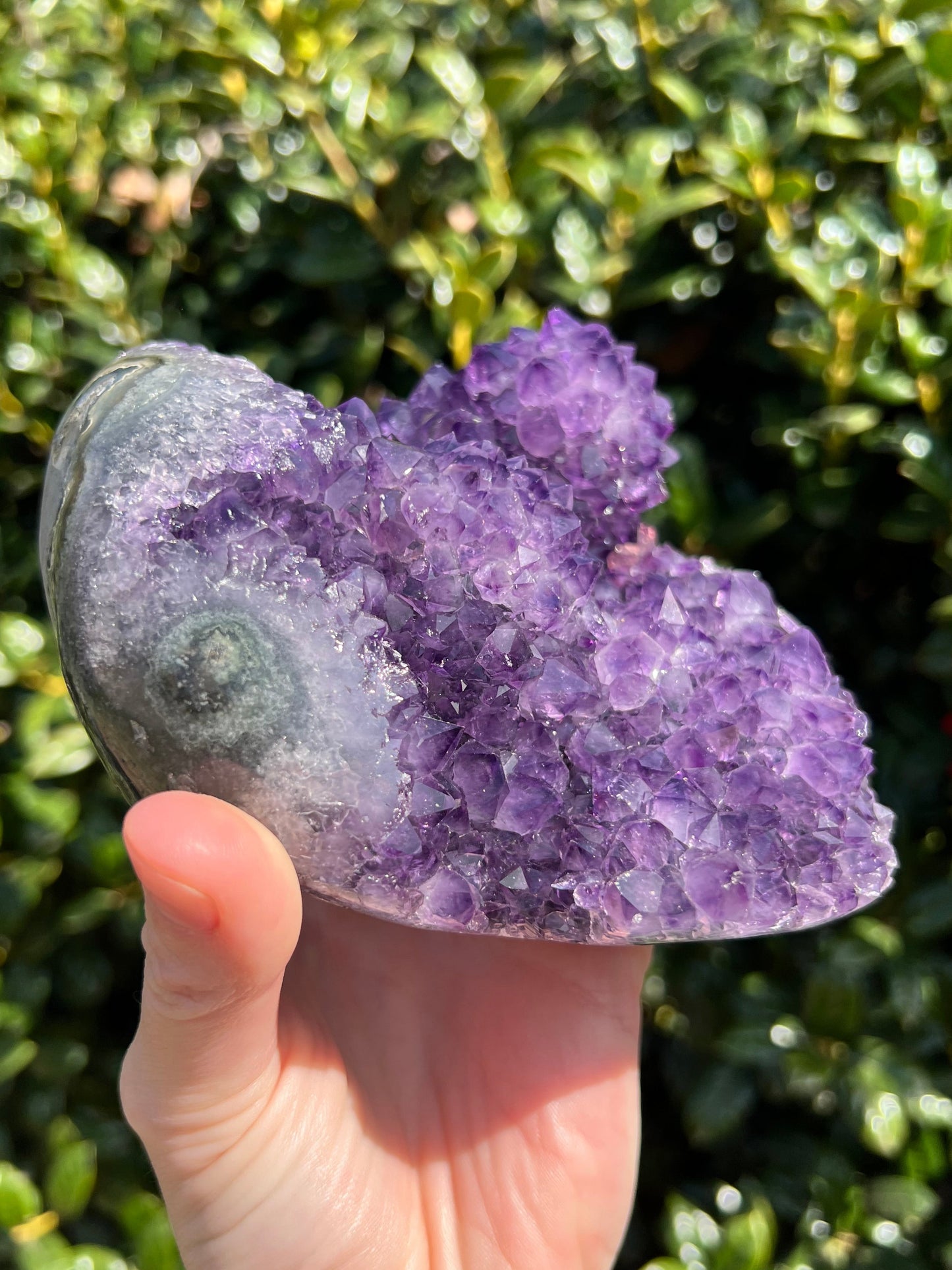 AAA Amethyst Pines
