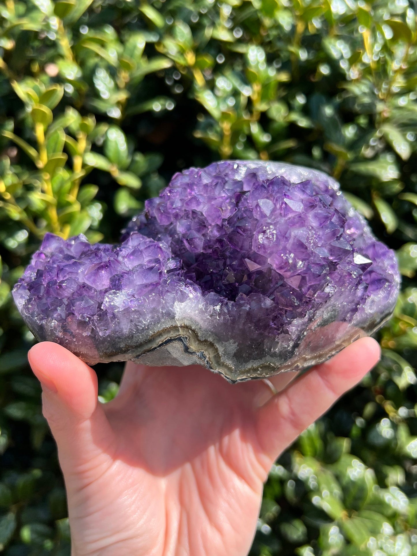 AAA Amethyst Pines