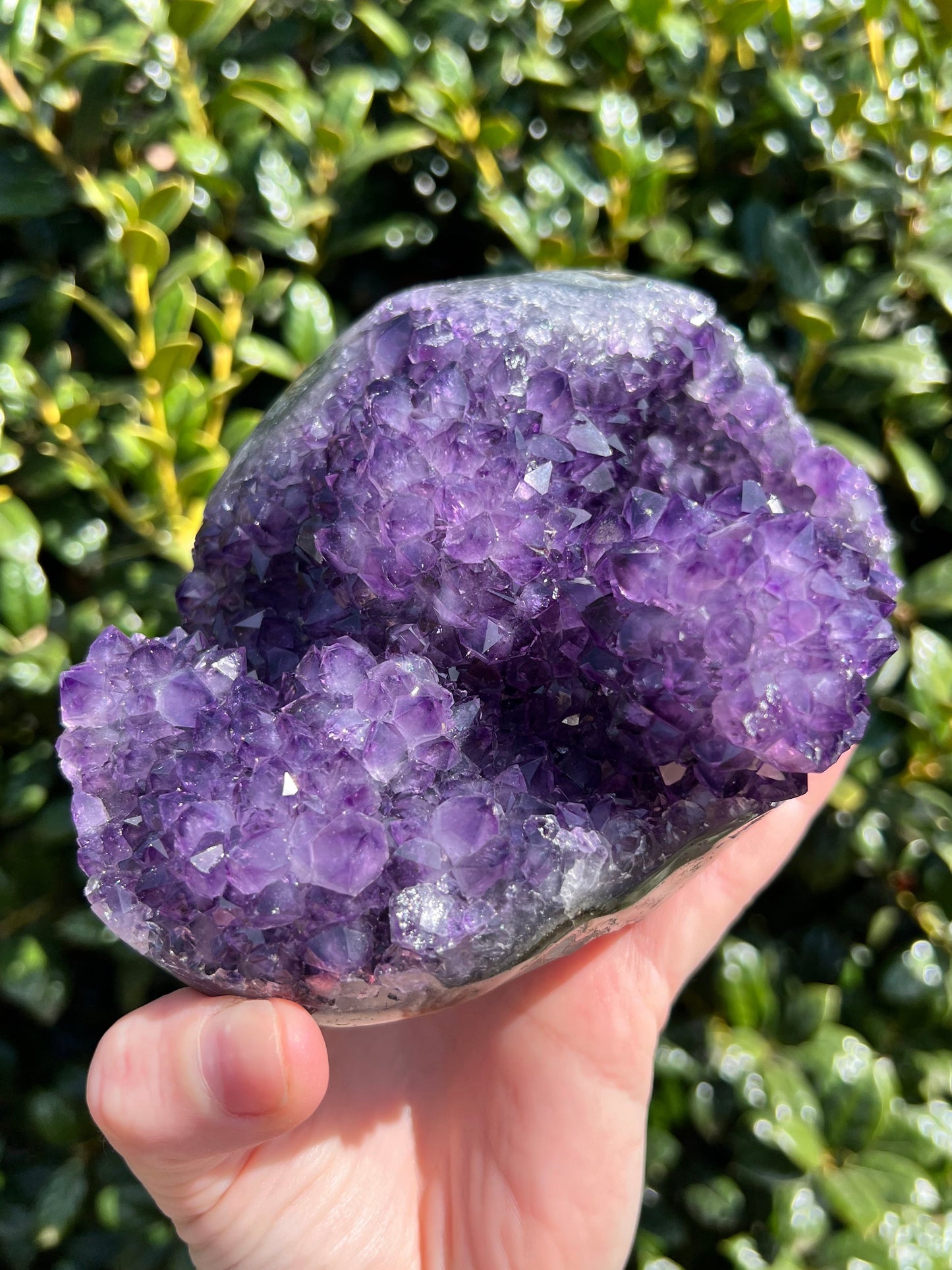 AAA Amethyst Pines