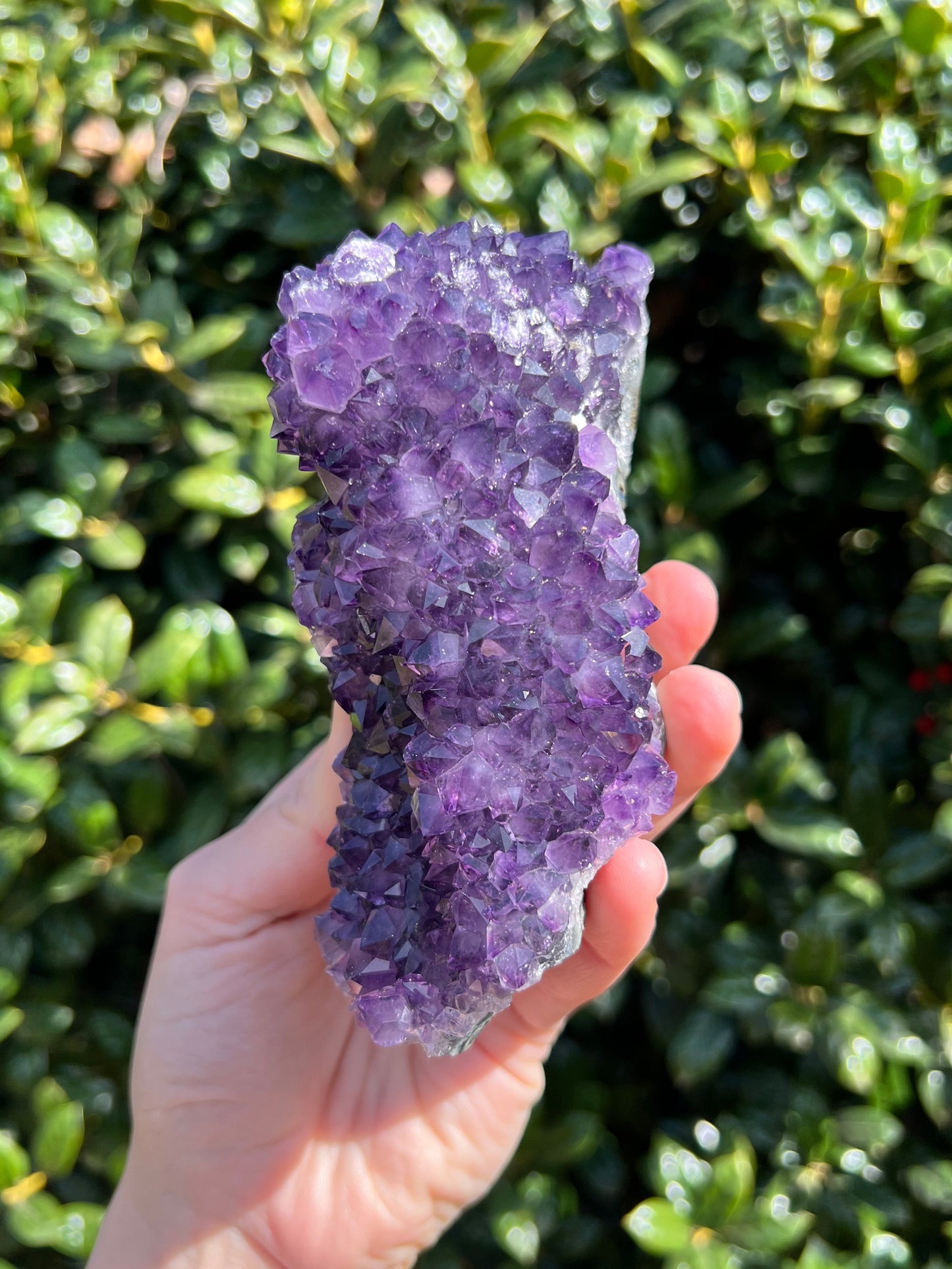 AAA Amethyst Pines