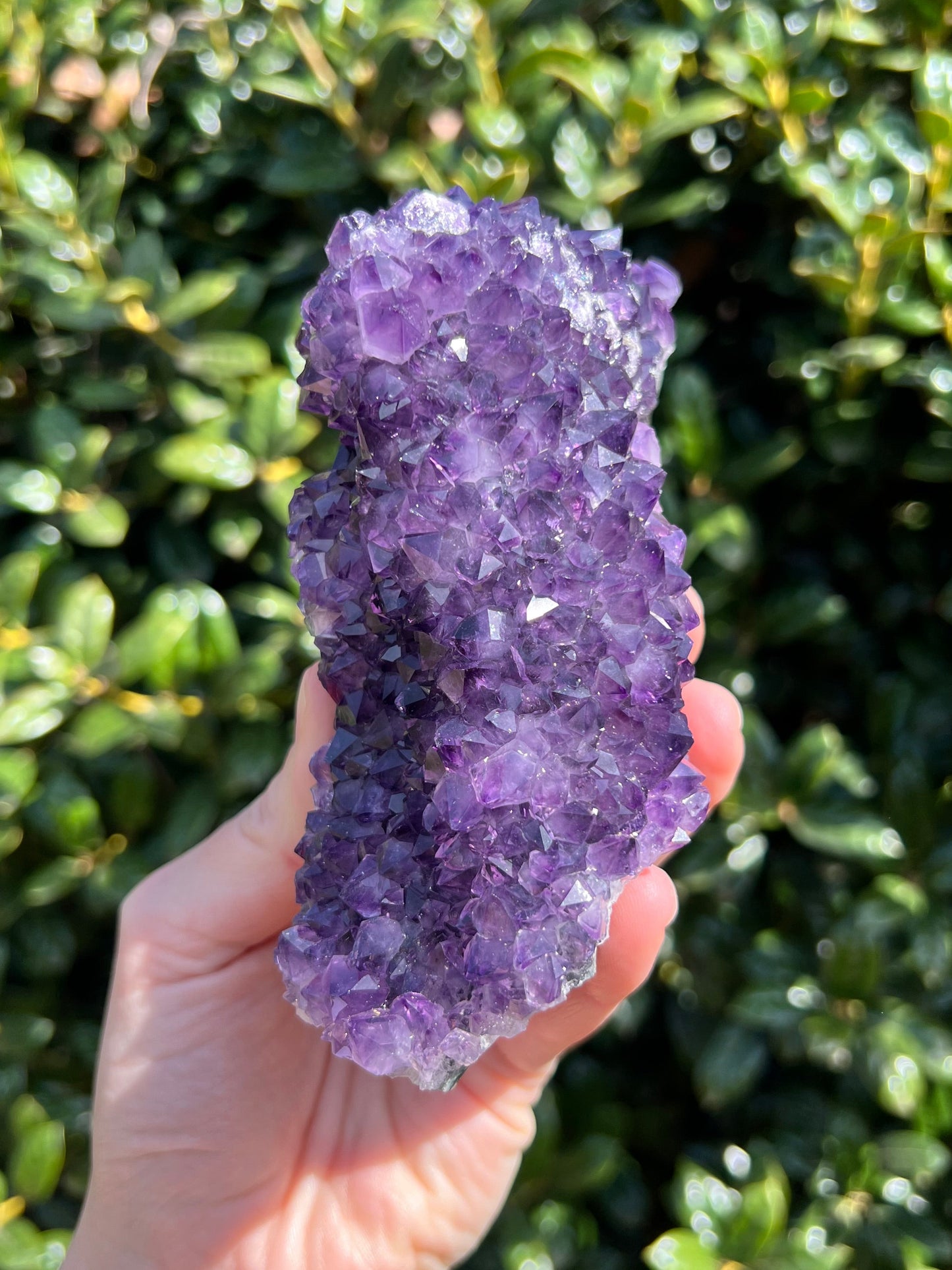 AAA Amethyst Pines