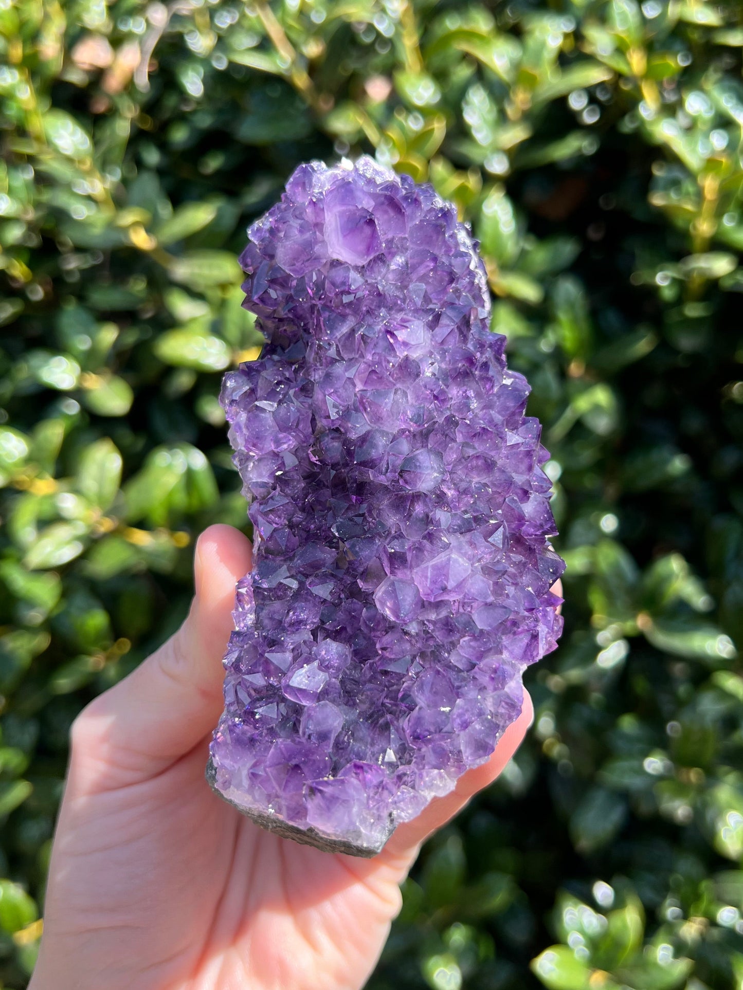 AAA Amethyst Pines