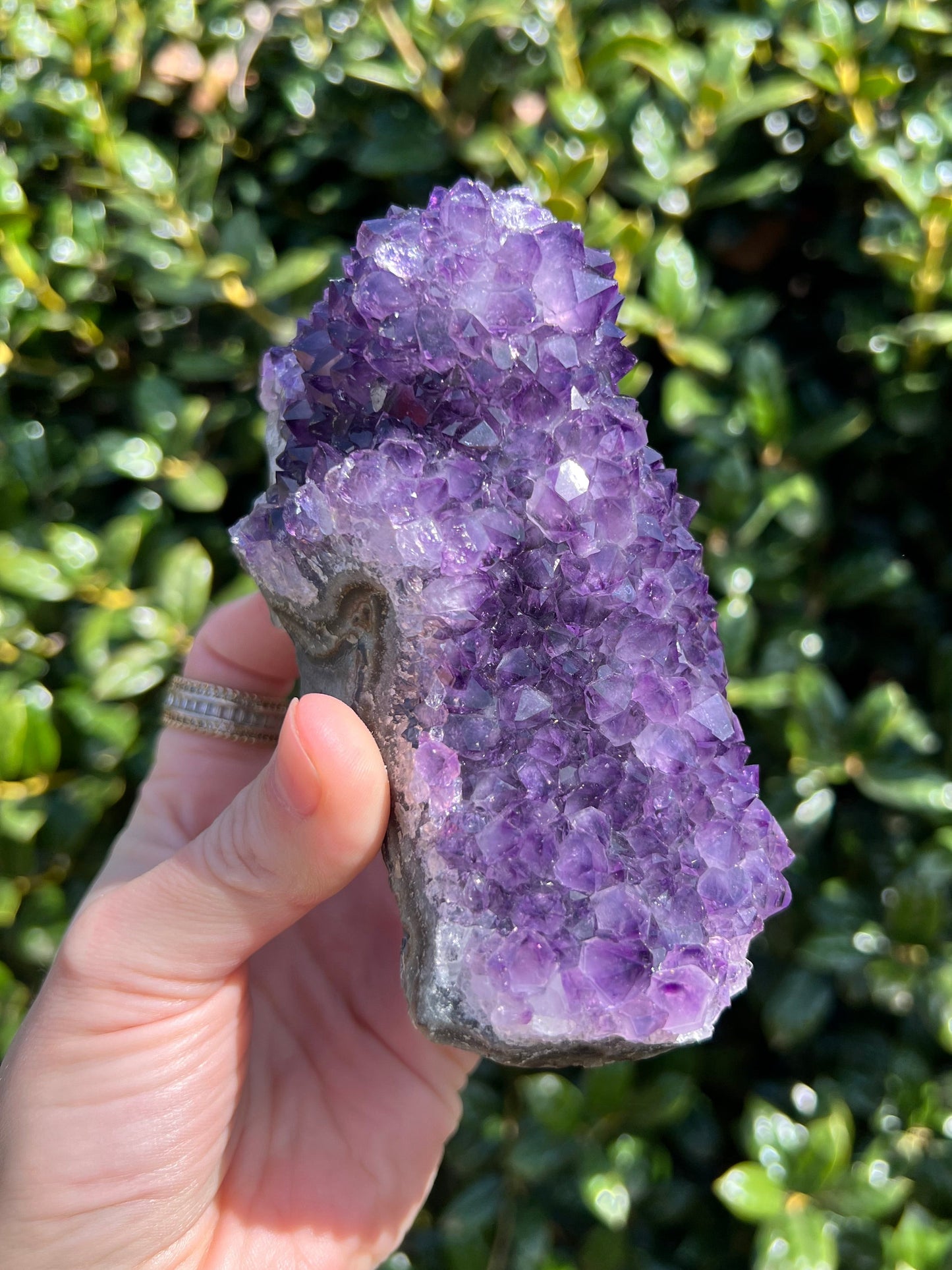 AAA Amethyst Pines