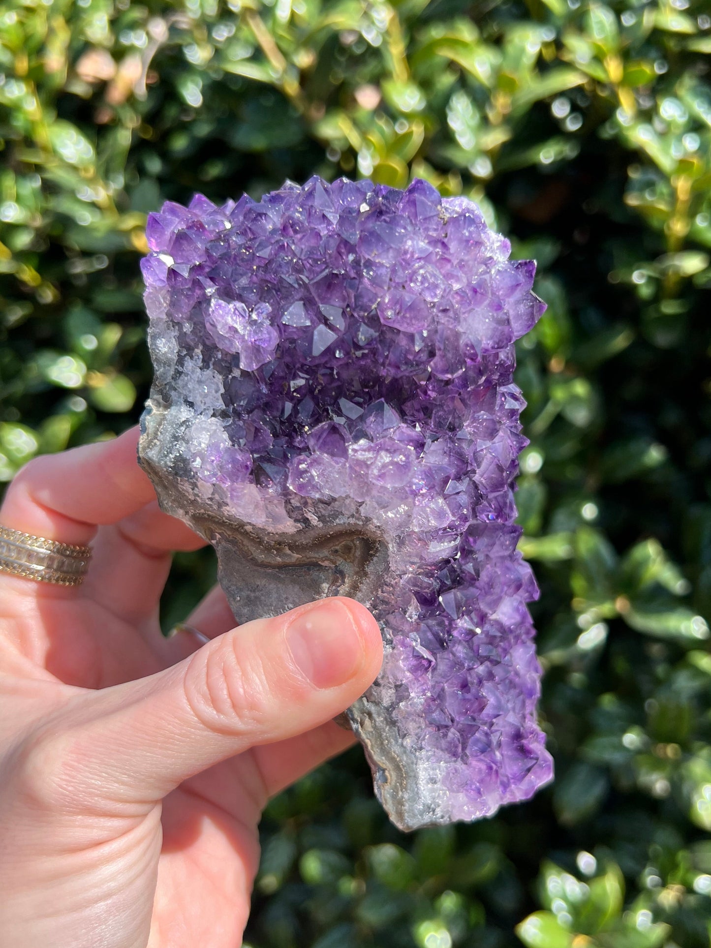 AAA Amethyst Pines