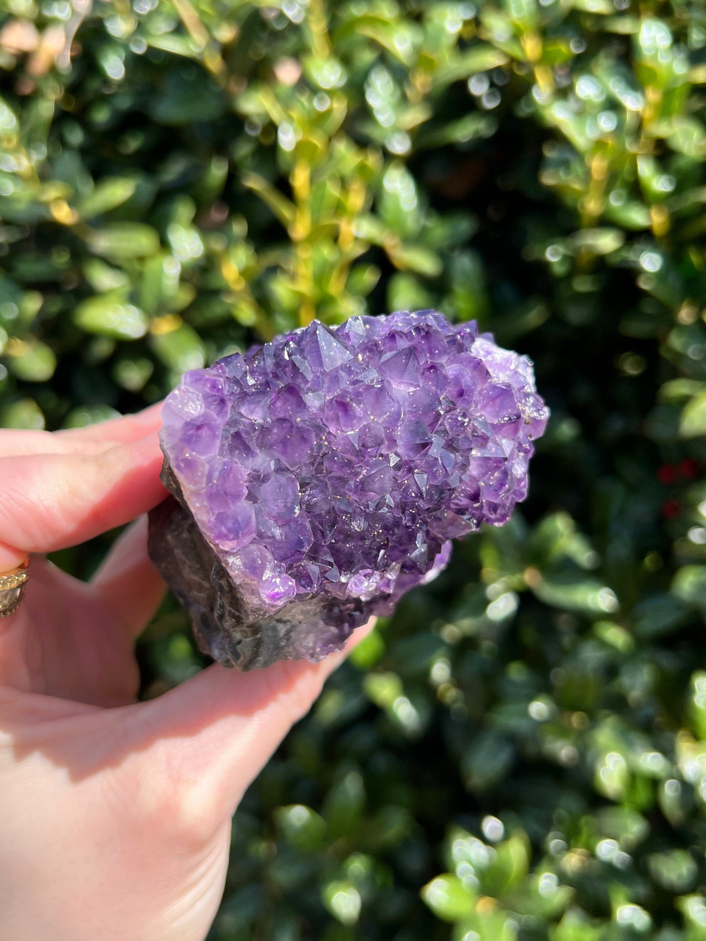 AAA Amethyst Pines