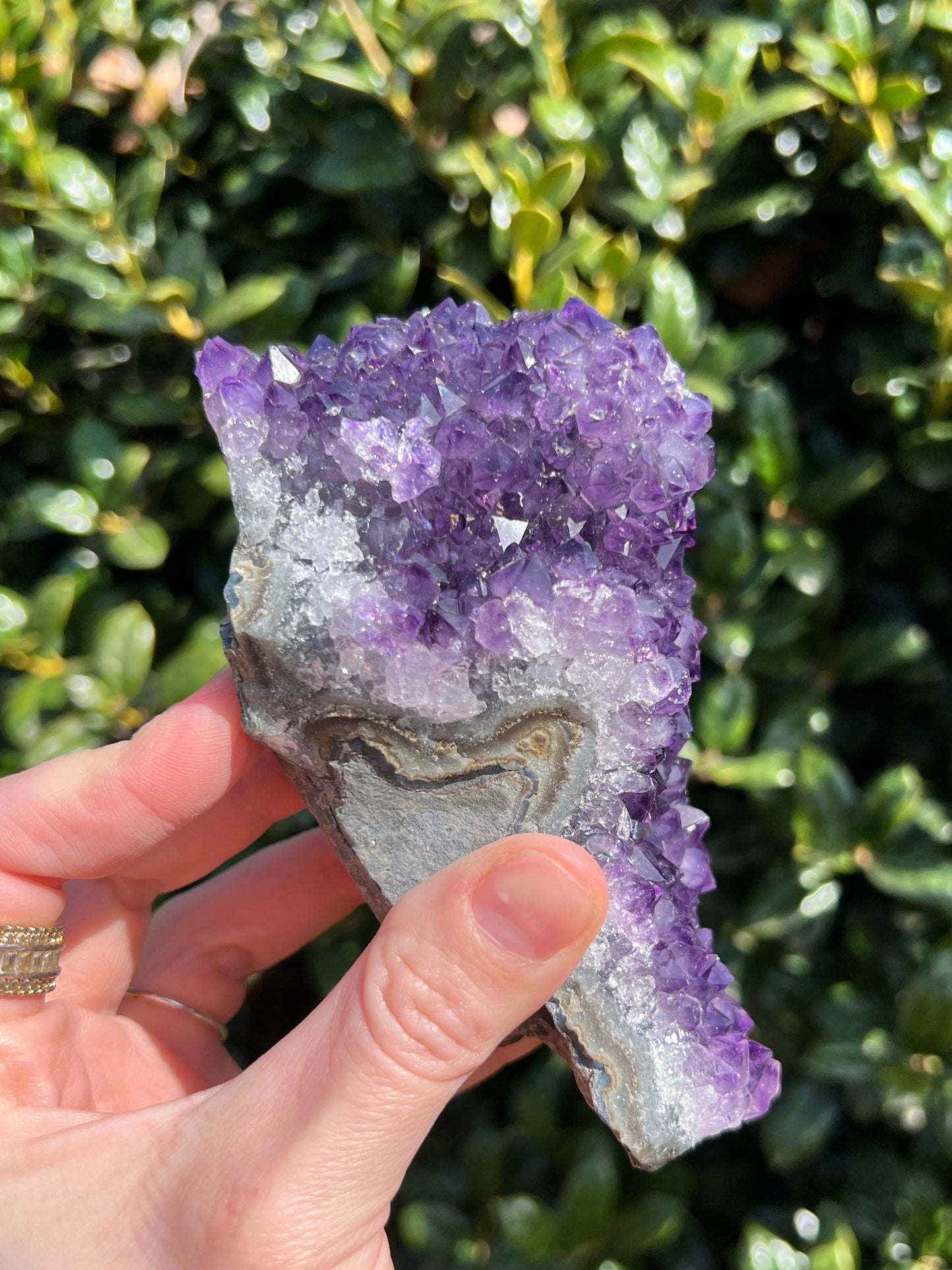 AAA Amethyst Pines