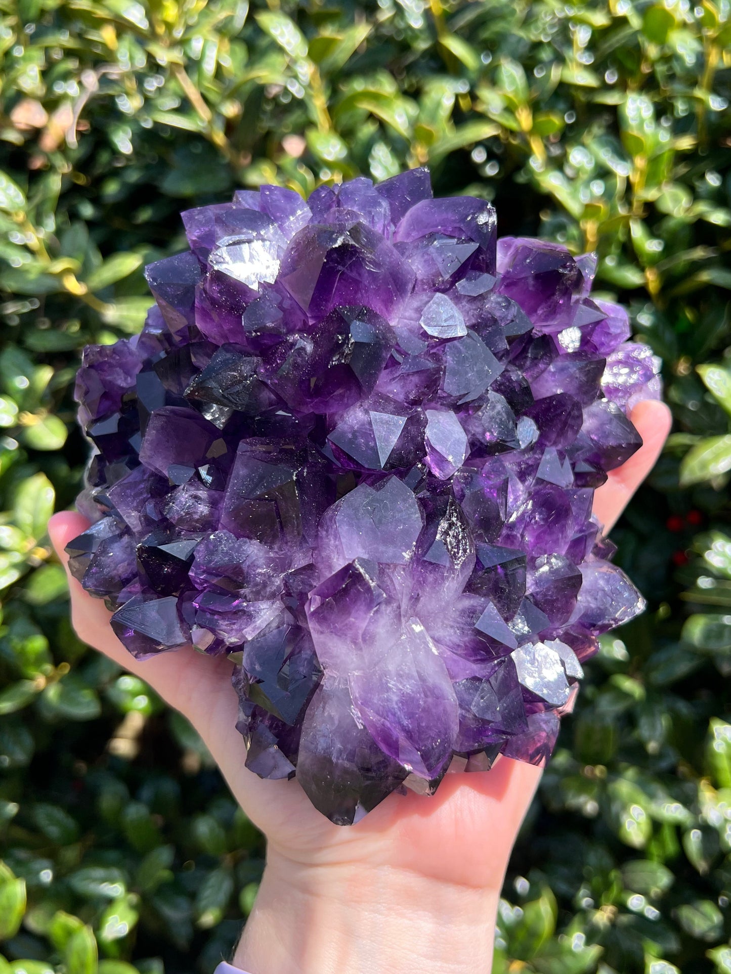 AAA Amethyst Pines