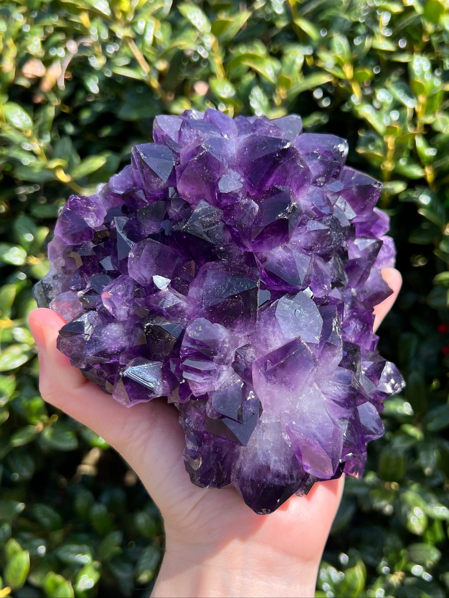 AAA Amethyst Pines