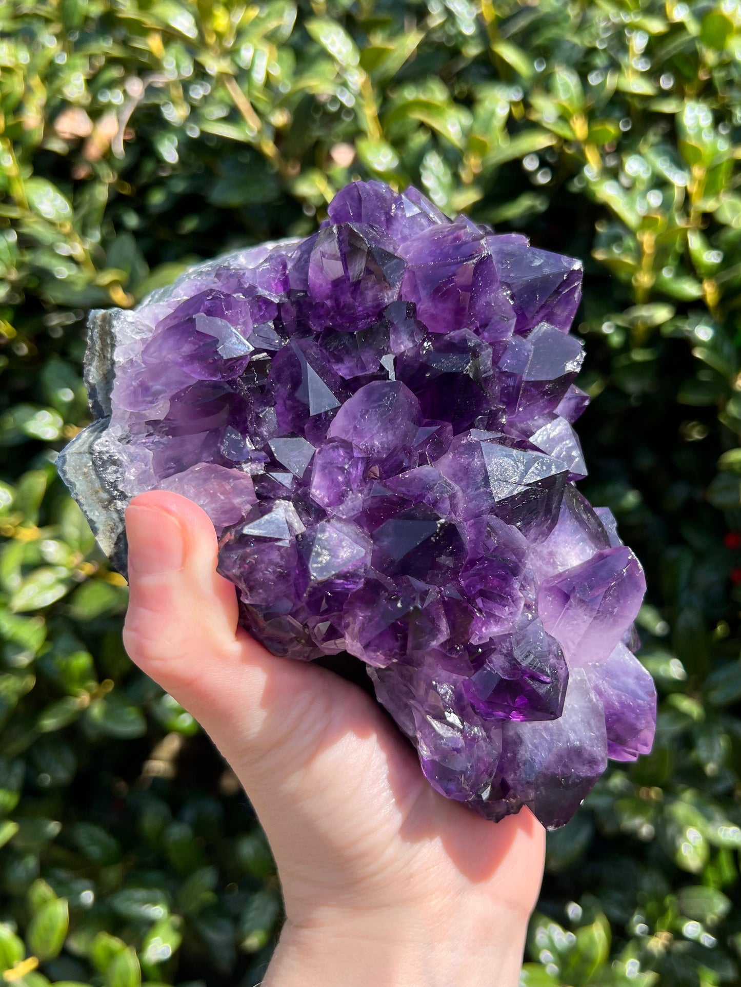 AAA Amethyst Pines