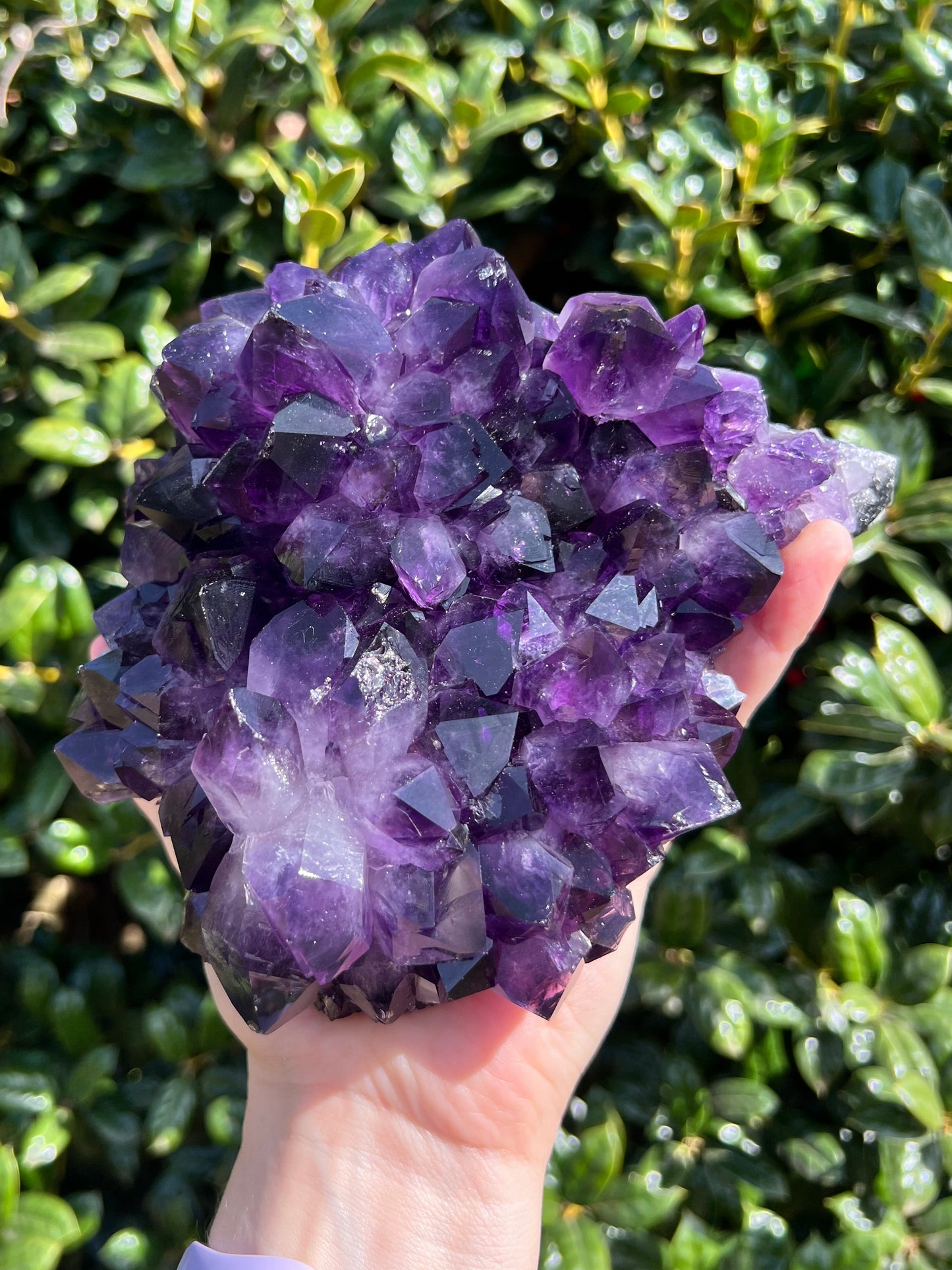 AAA Amethyst Pines