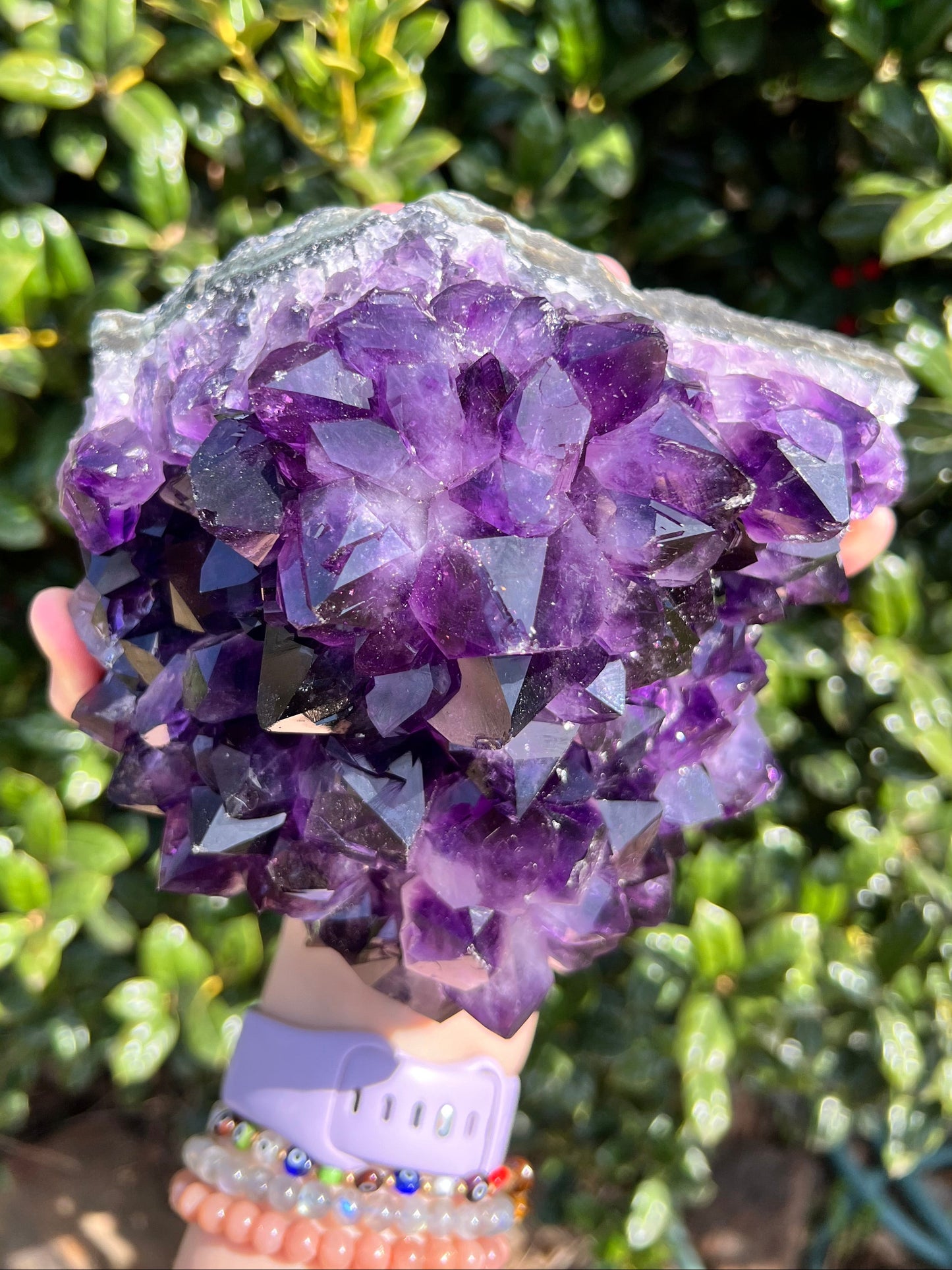 AAA Amethyst Pines