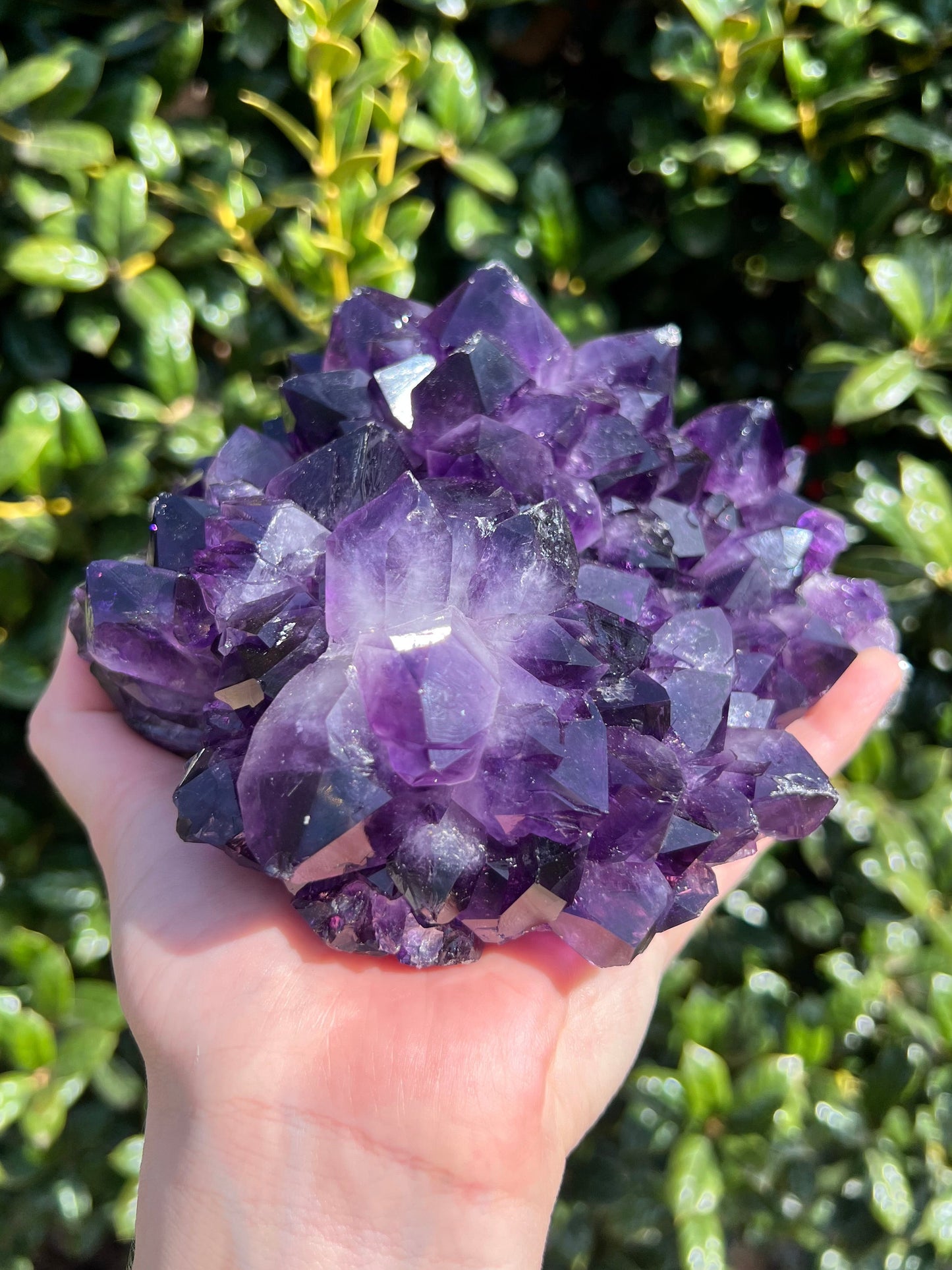 AAA Amethyst Pines
