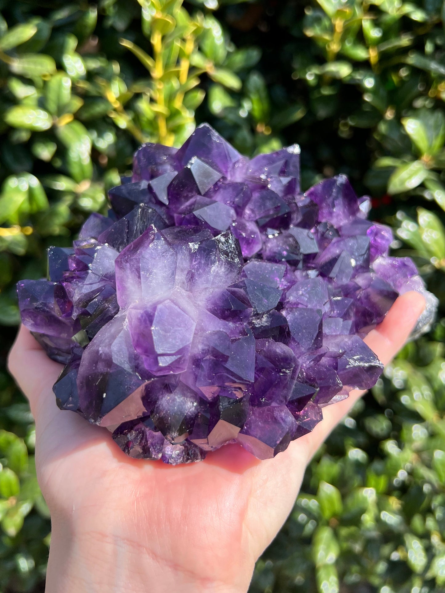 AAA Amethyst Pines