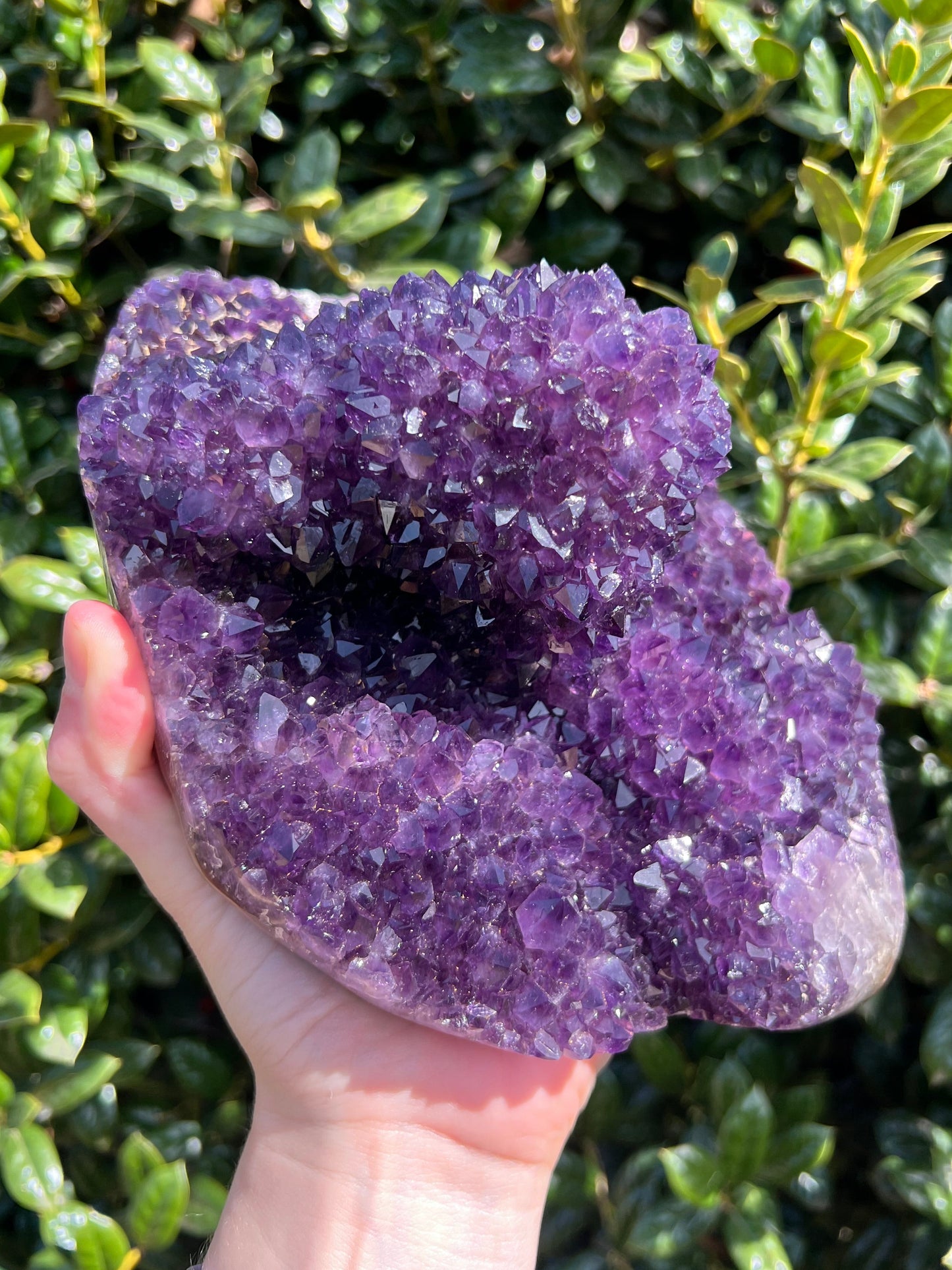 AAA Amethyst Pines