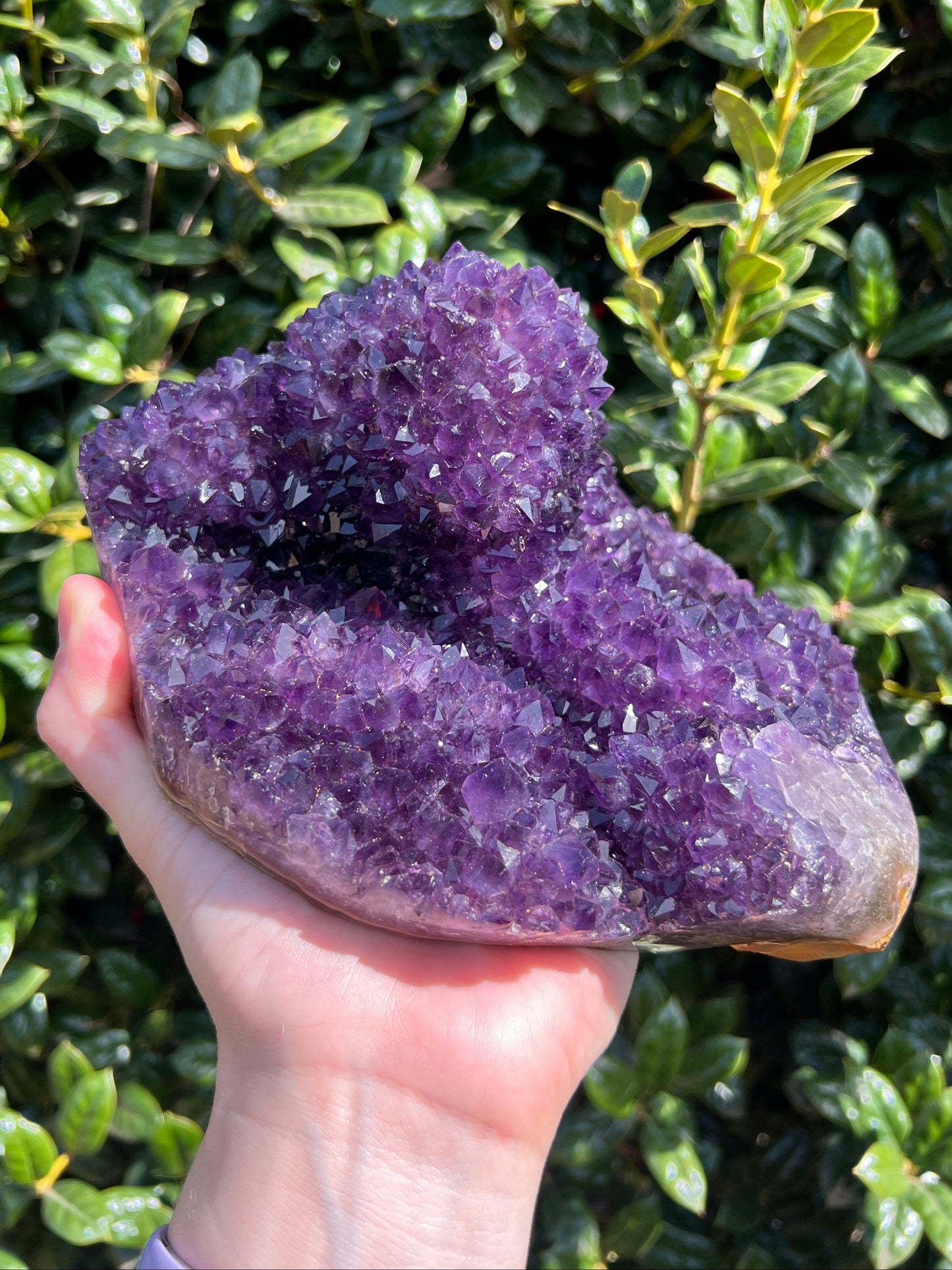 AAA Amethyst Pines