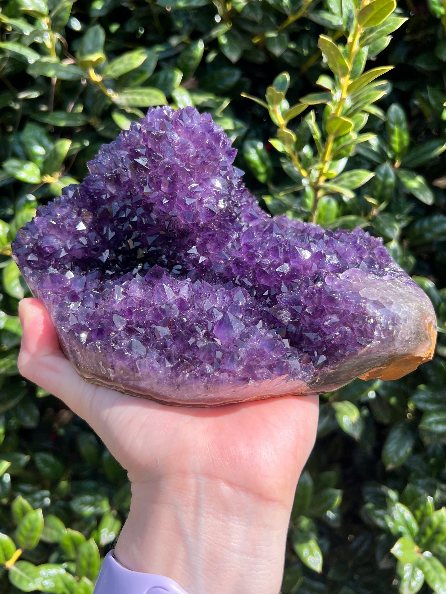 AAA Amethyst Pines
