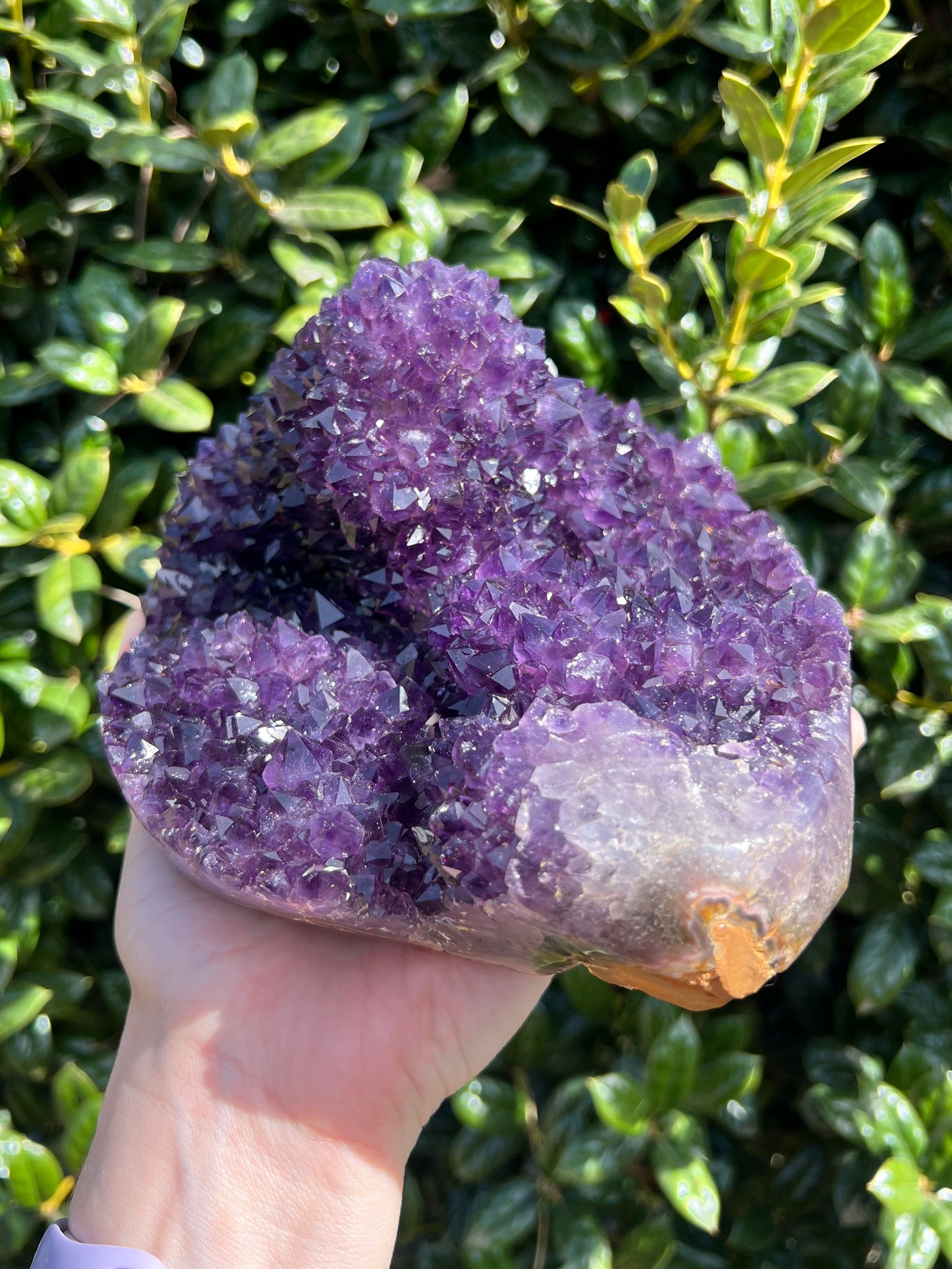 AAA Amethyst Pines
