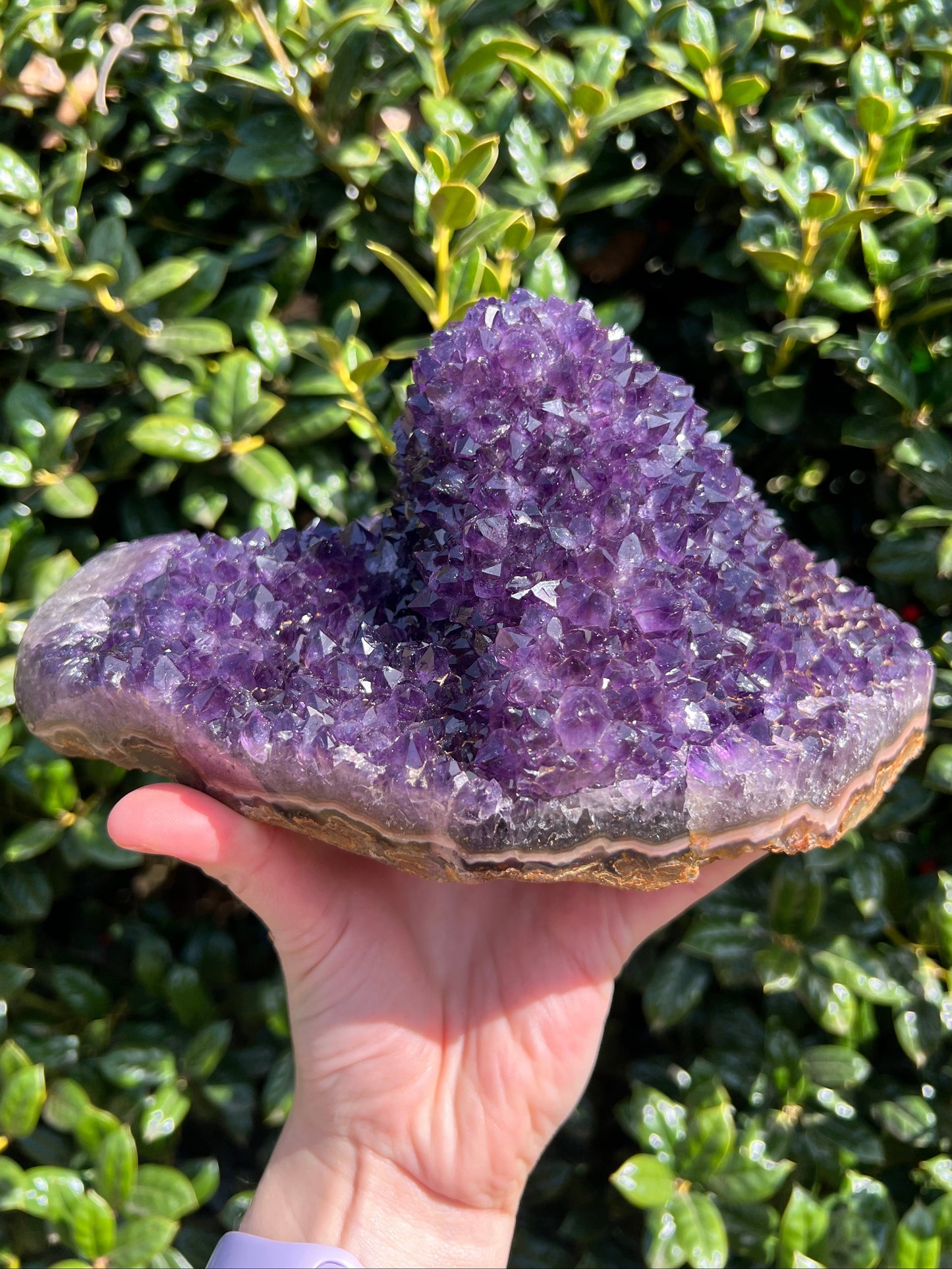 AAA Amethyst Pines