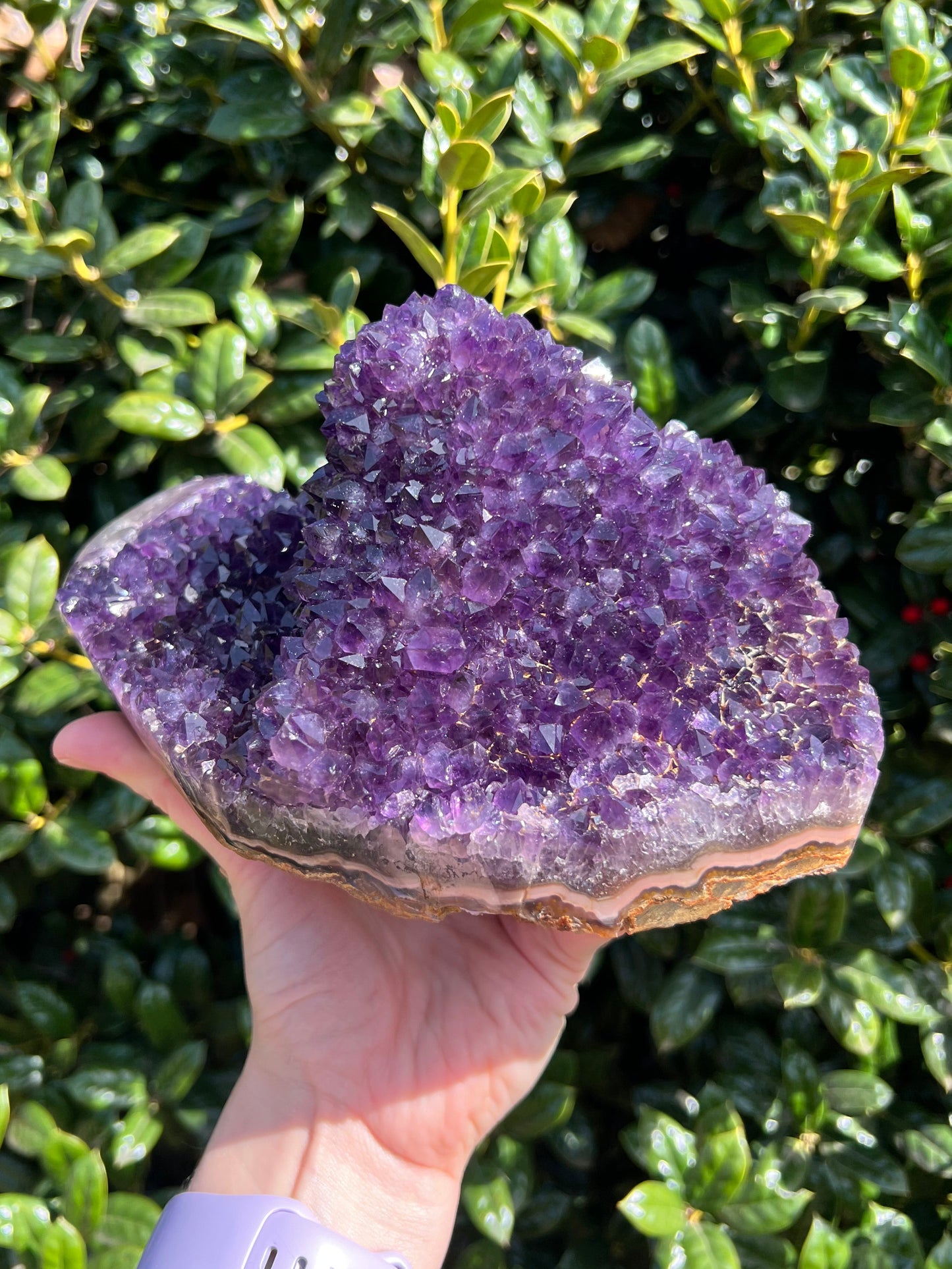 AAA Amethyst Pines