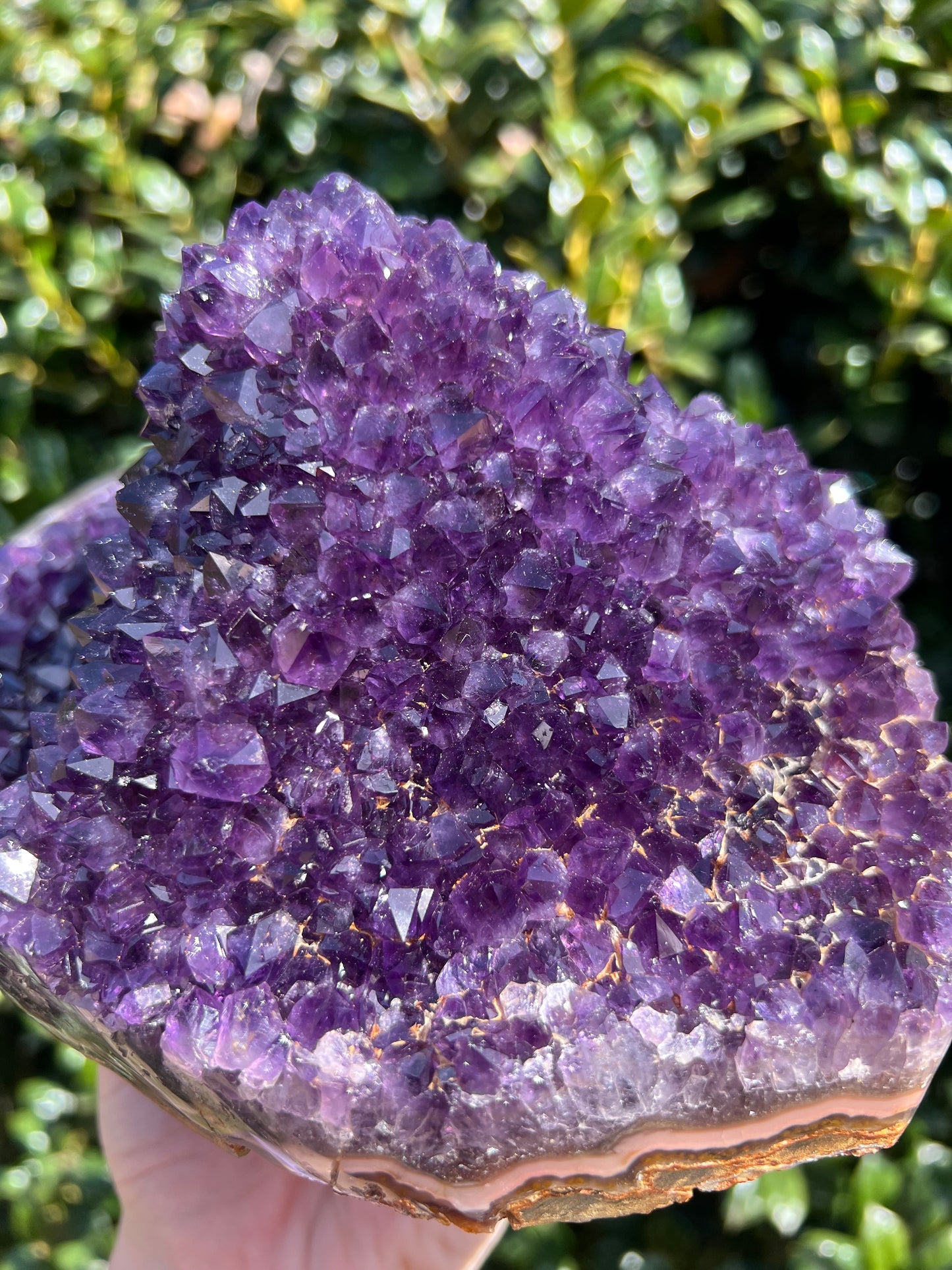 AAA Amethyst Pines