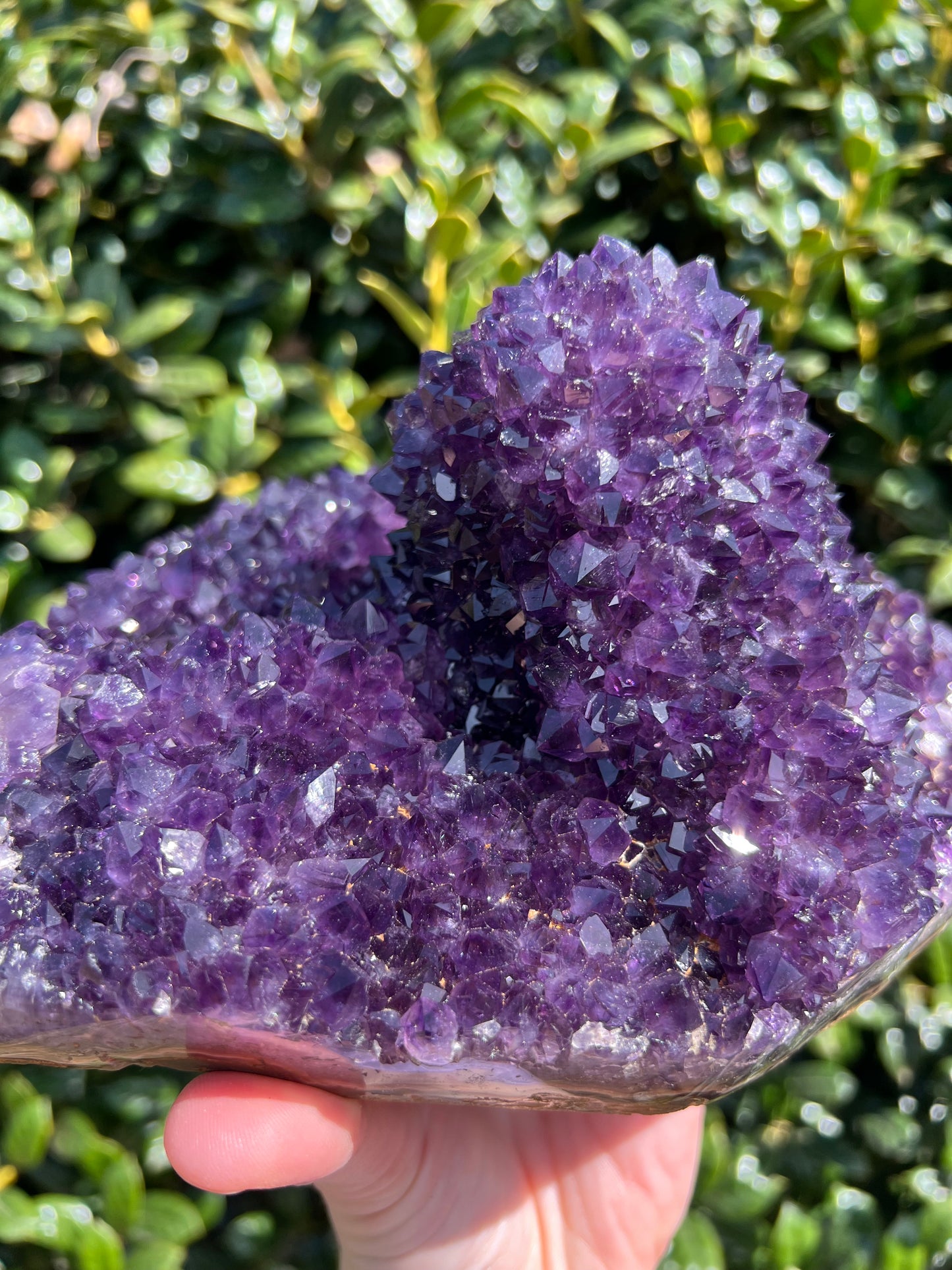 AAA Amethyst Pines
