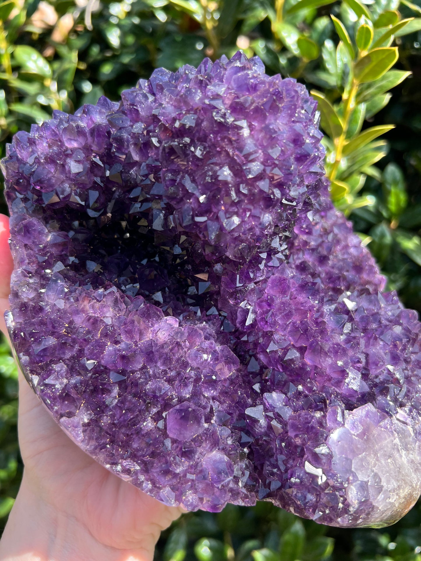 AAA Amethyst Pines