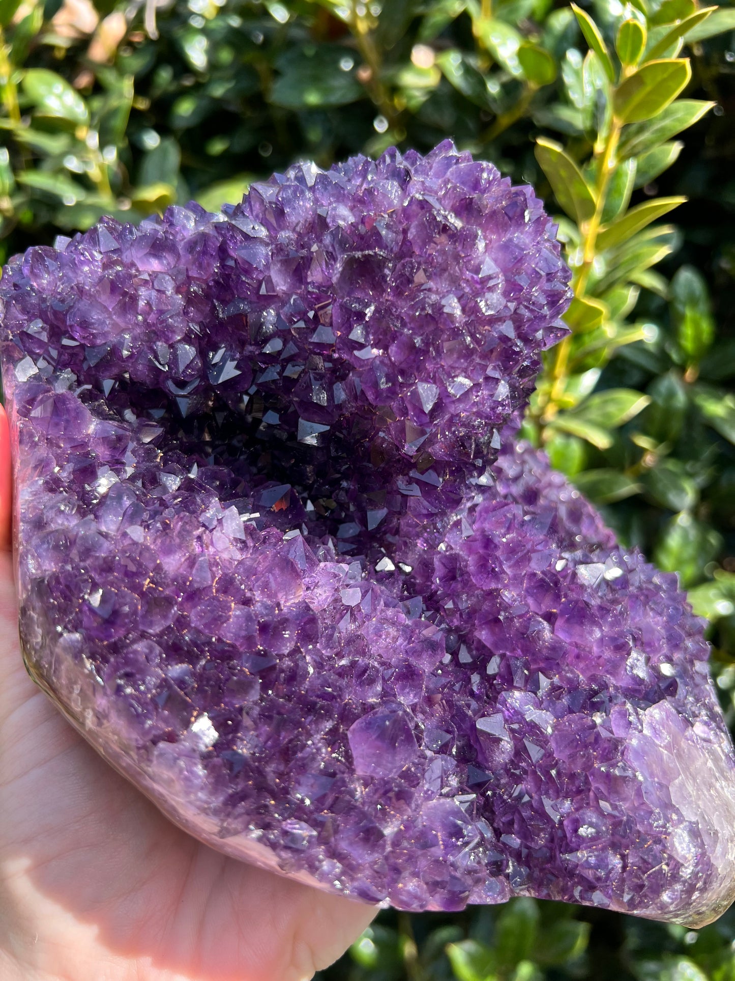 AAA Amethyst Pines