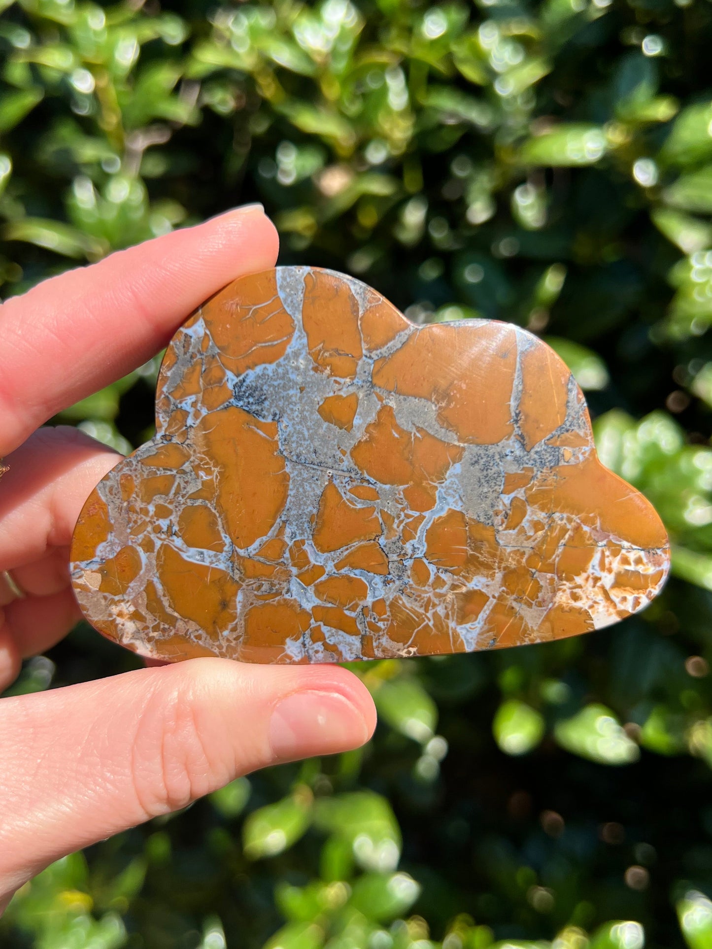 Brecciated Jasper Clouds
