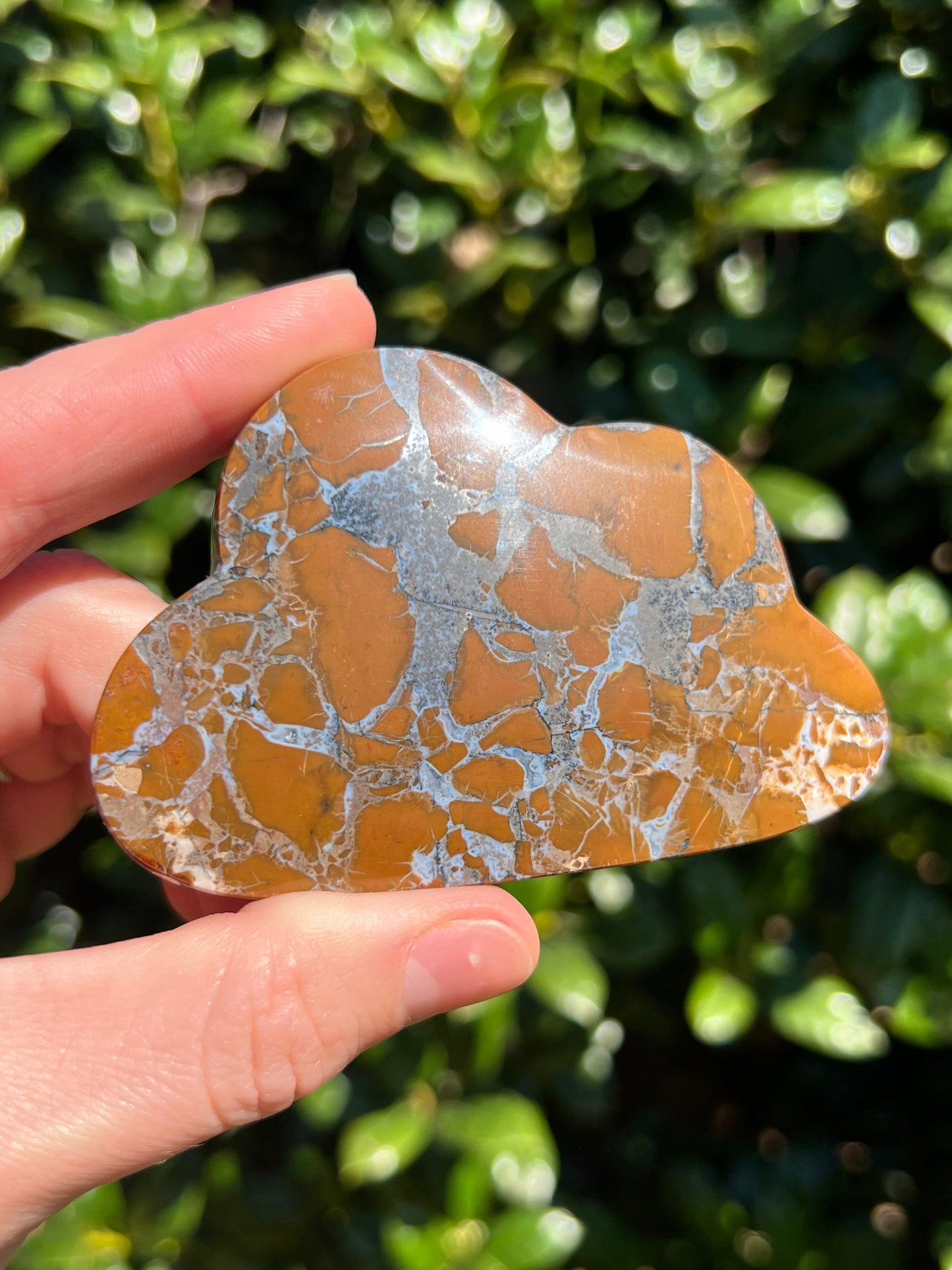 Brecciated Jasper Clouds