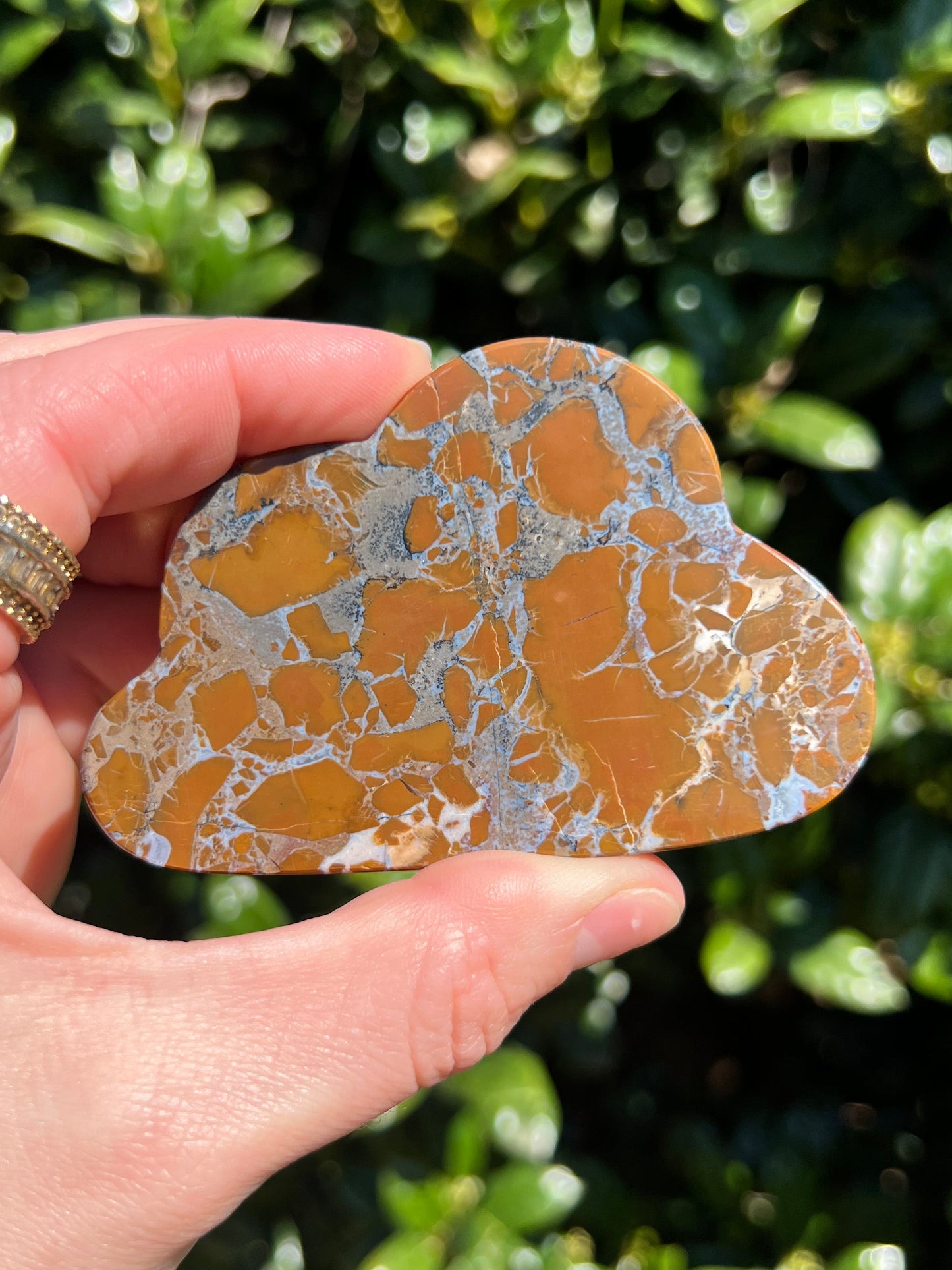 Brecciated Jasper Clouds