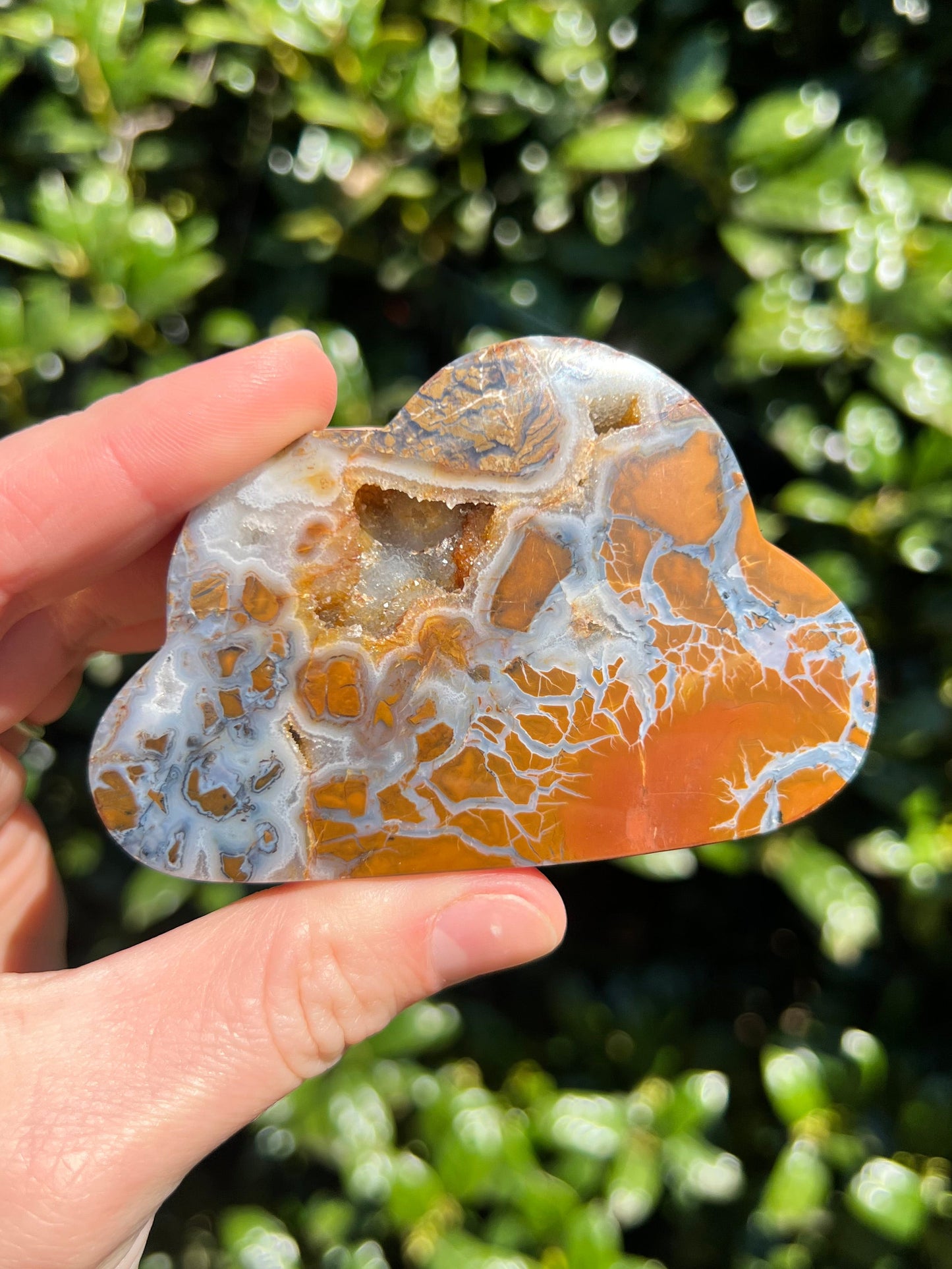 Brecciated Jasper Clouds