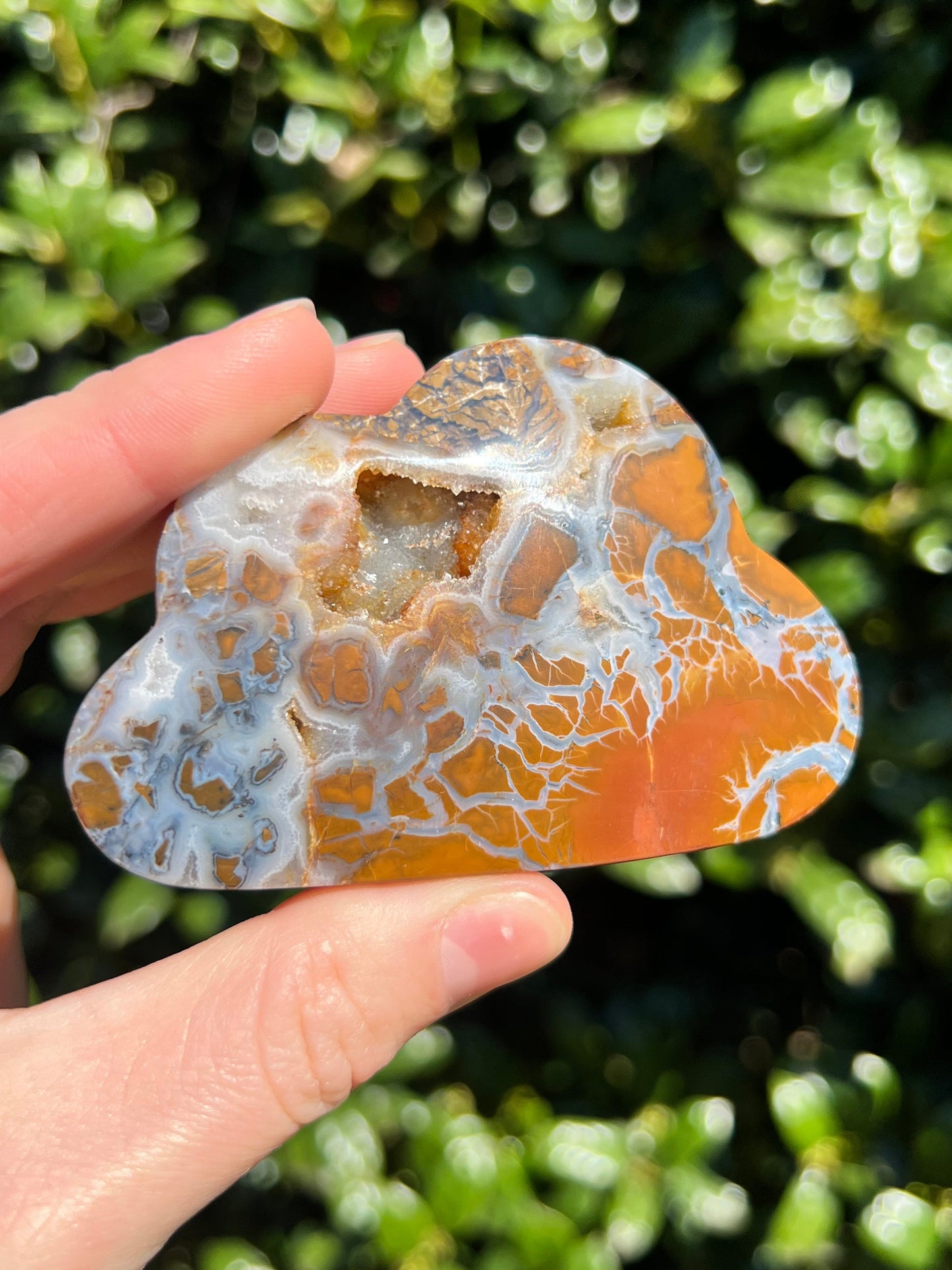 Brecciated Jasper Clouds