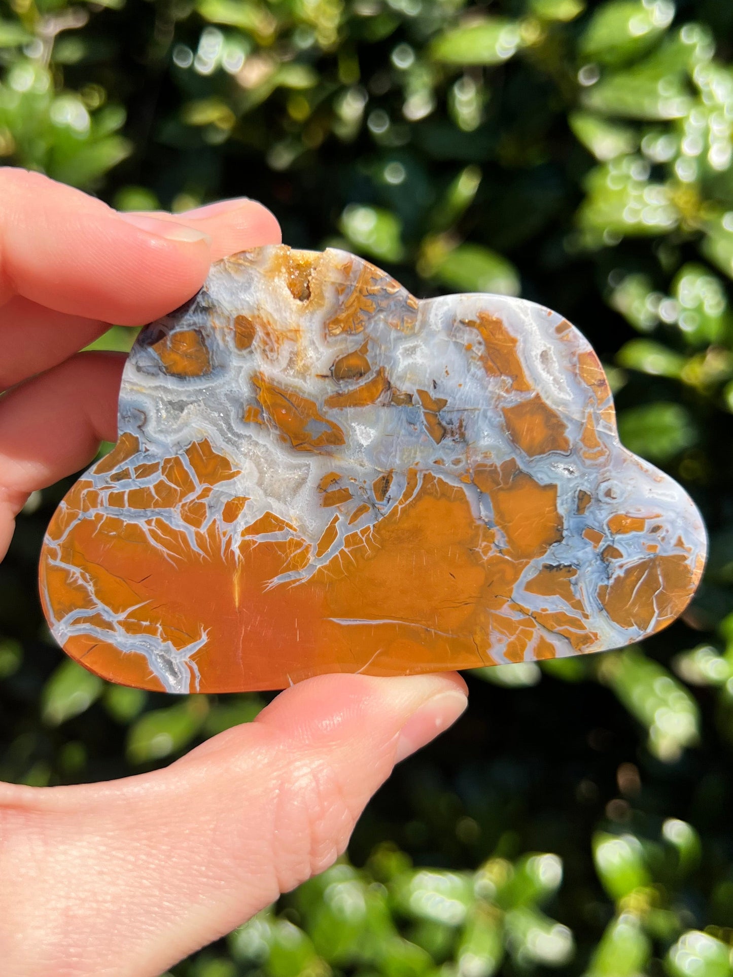Brecciated Jasper Clouds