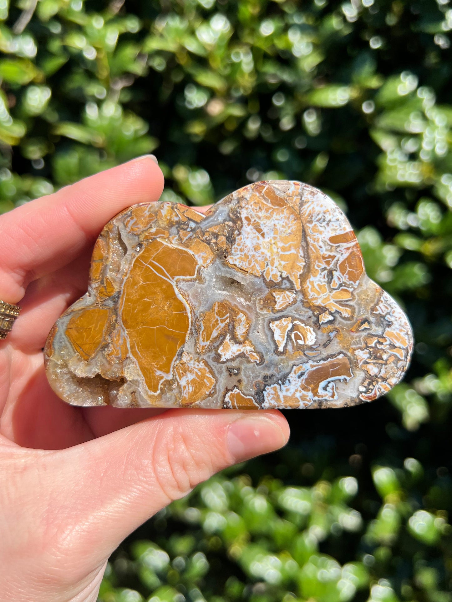 Brecciated Jasper Clouds