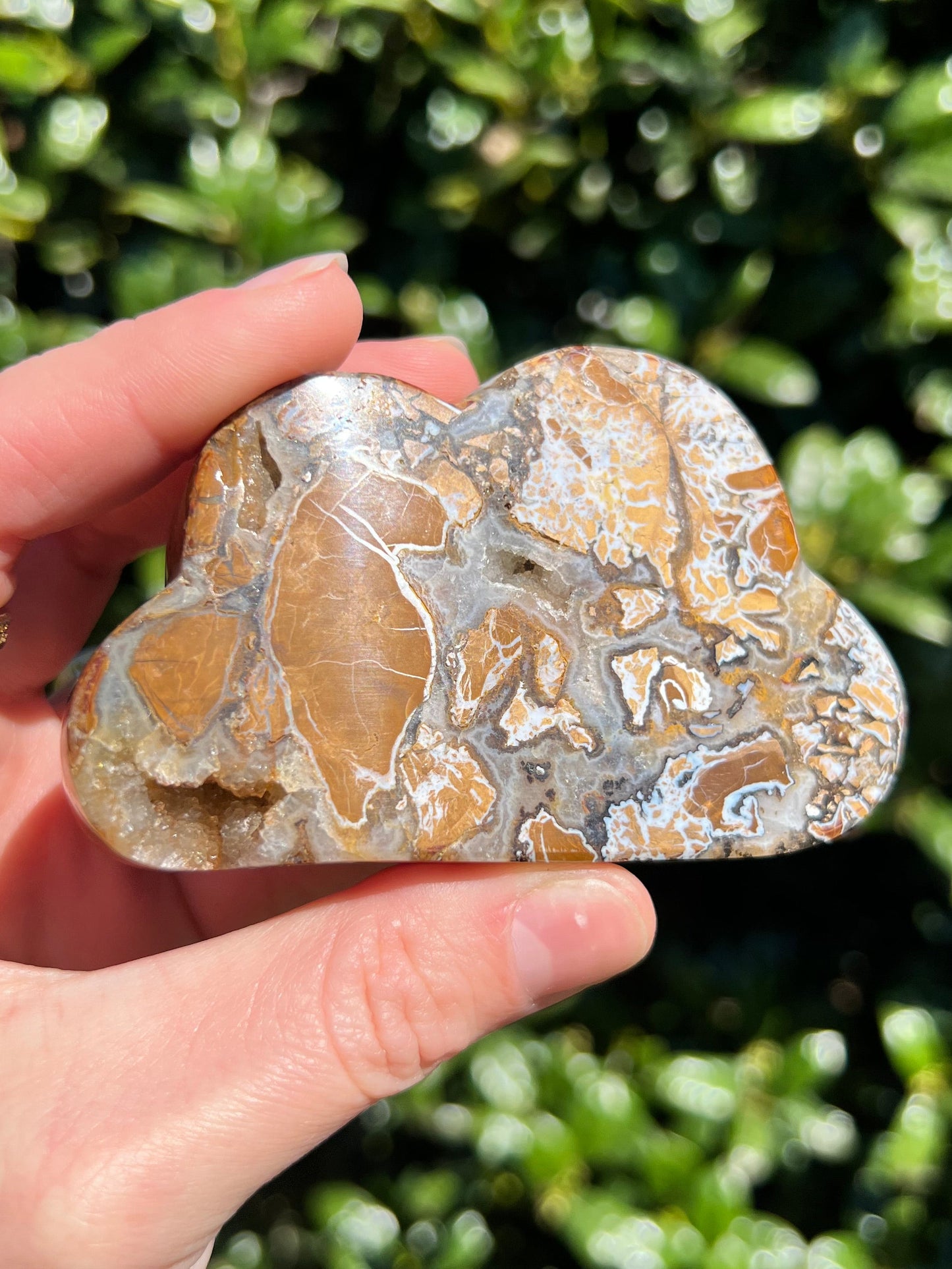 Brecciated Jasper Clouds