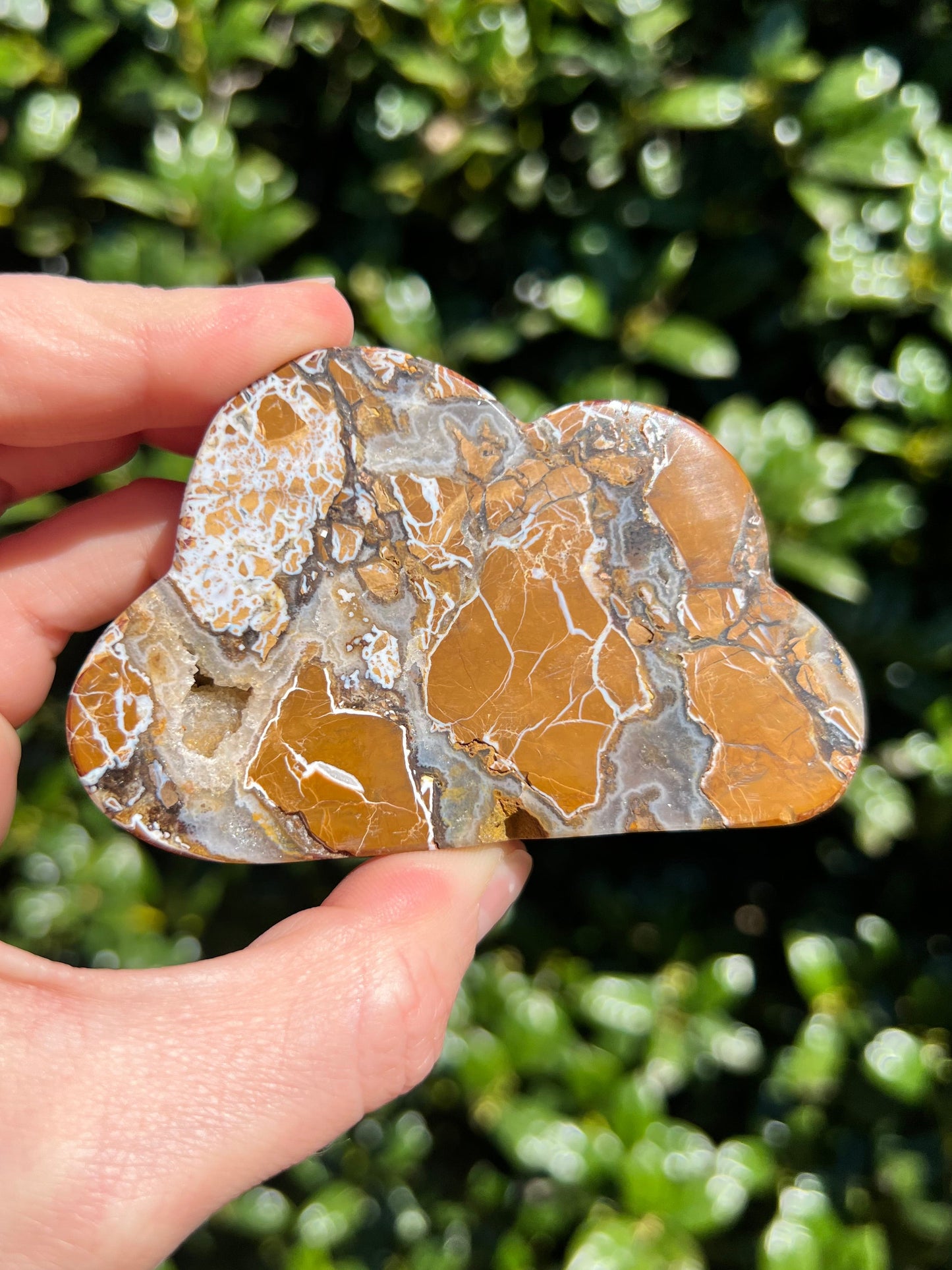 Brecciated Jasper Clouds