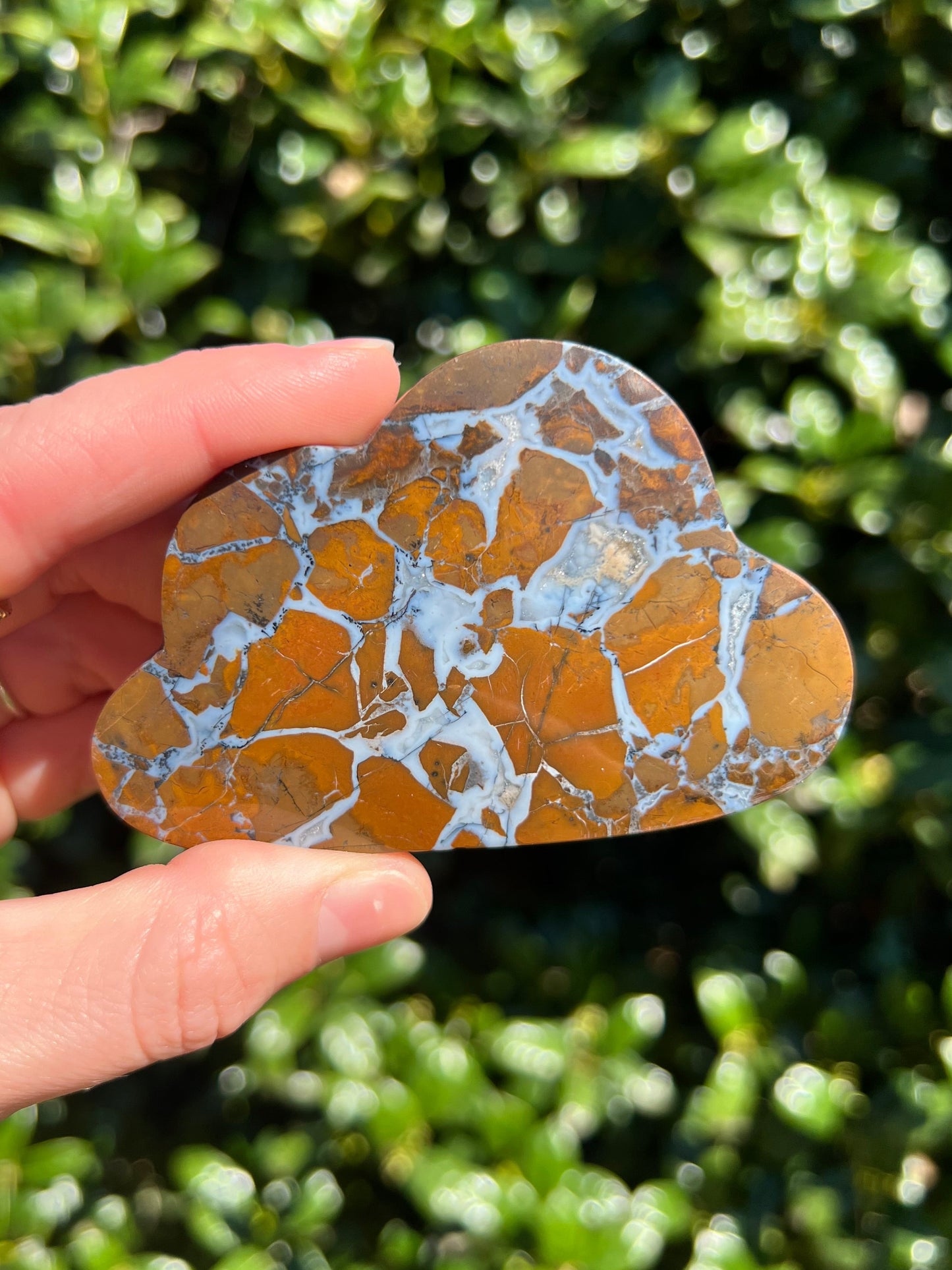 Brecciated Jasper Clouds