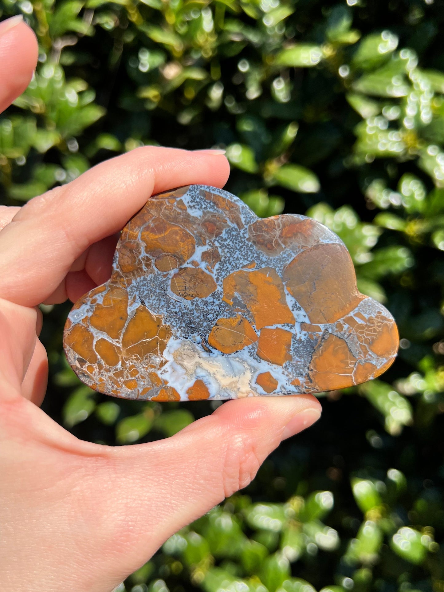 Brecciated Jasper Clouds