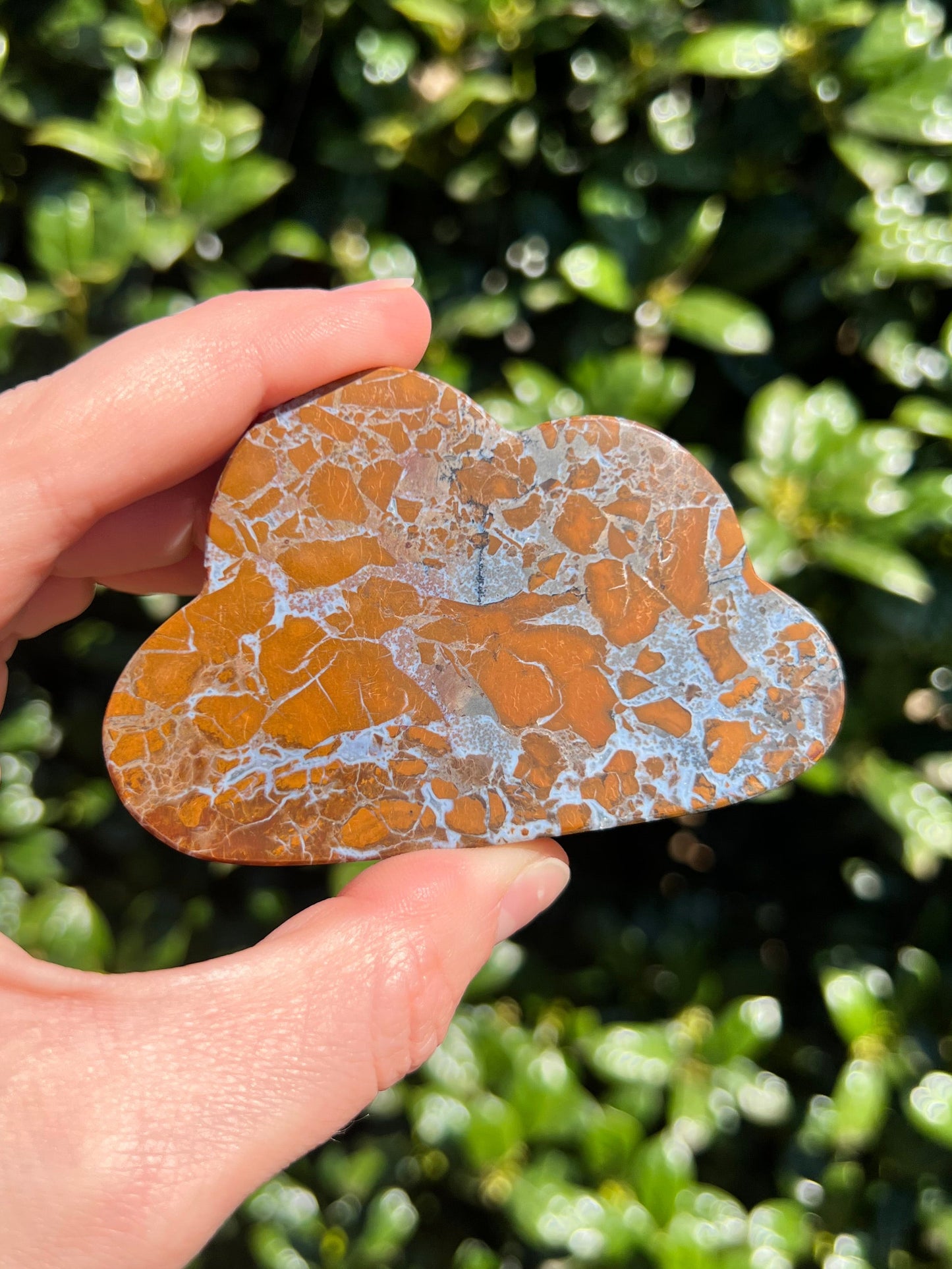 Brecciated Jasper Clouds