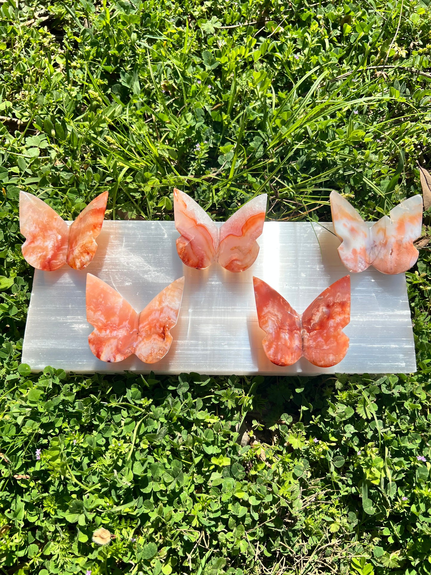 红玉心